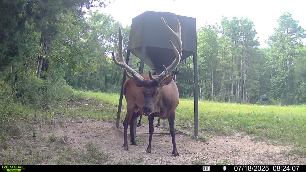 1320 Cr 2112 Property Photo 50