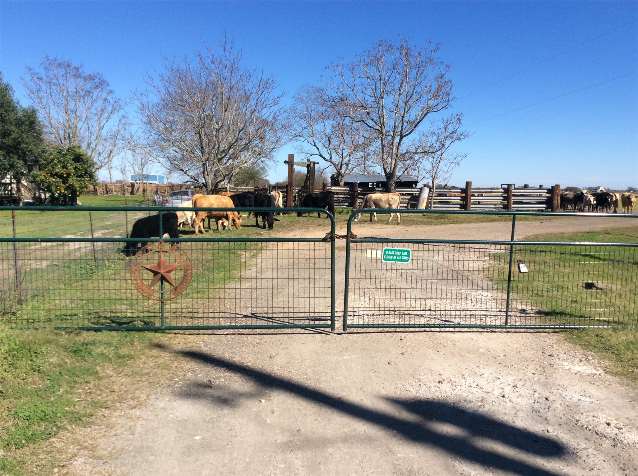 2134 Fm 1875 Road C Property Photo 10