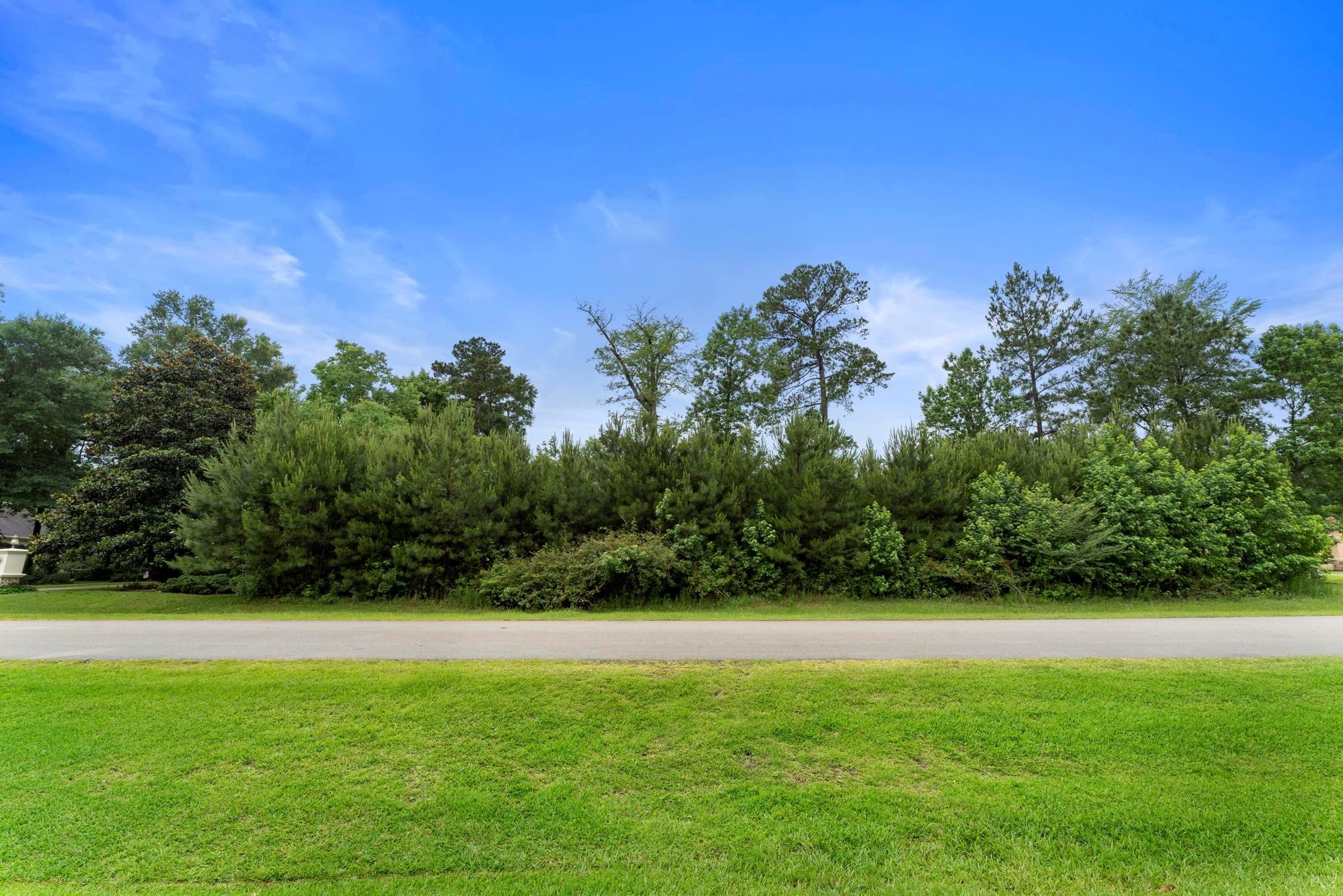 27403 Whispering Maple Way Property Photo 8