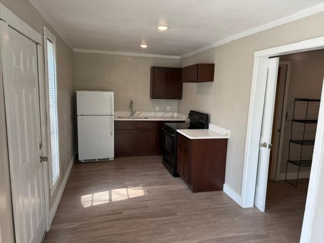 25775 Marella Drive Property Photo 5