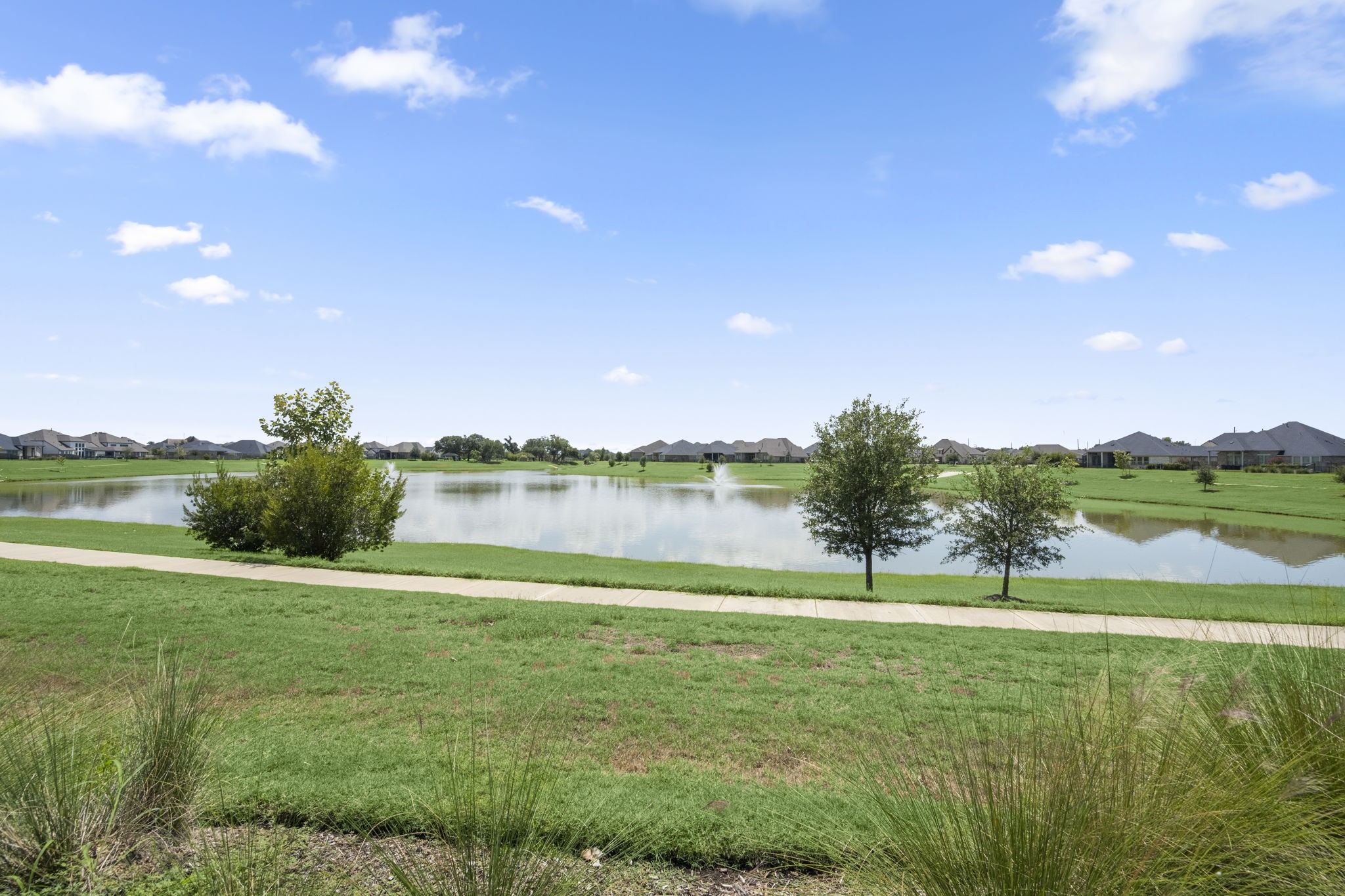 19315 Trotting Green Trail Property Photo 31