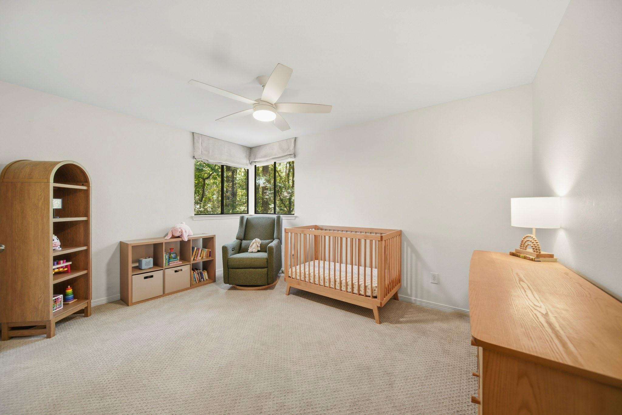 27 Sky Terrace Place, The Woodlands Tx 77381 Property Photo 39