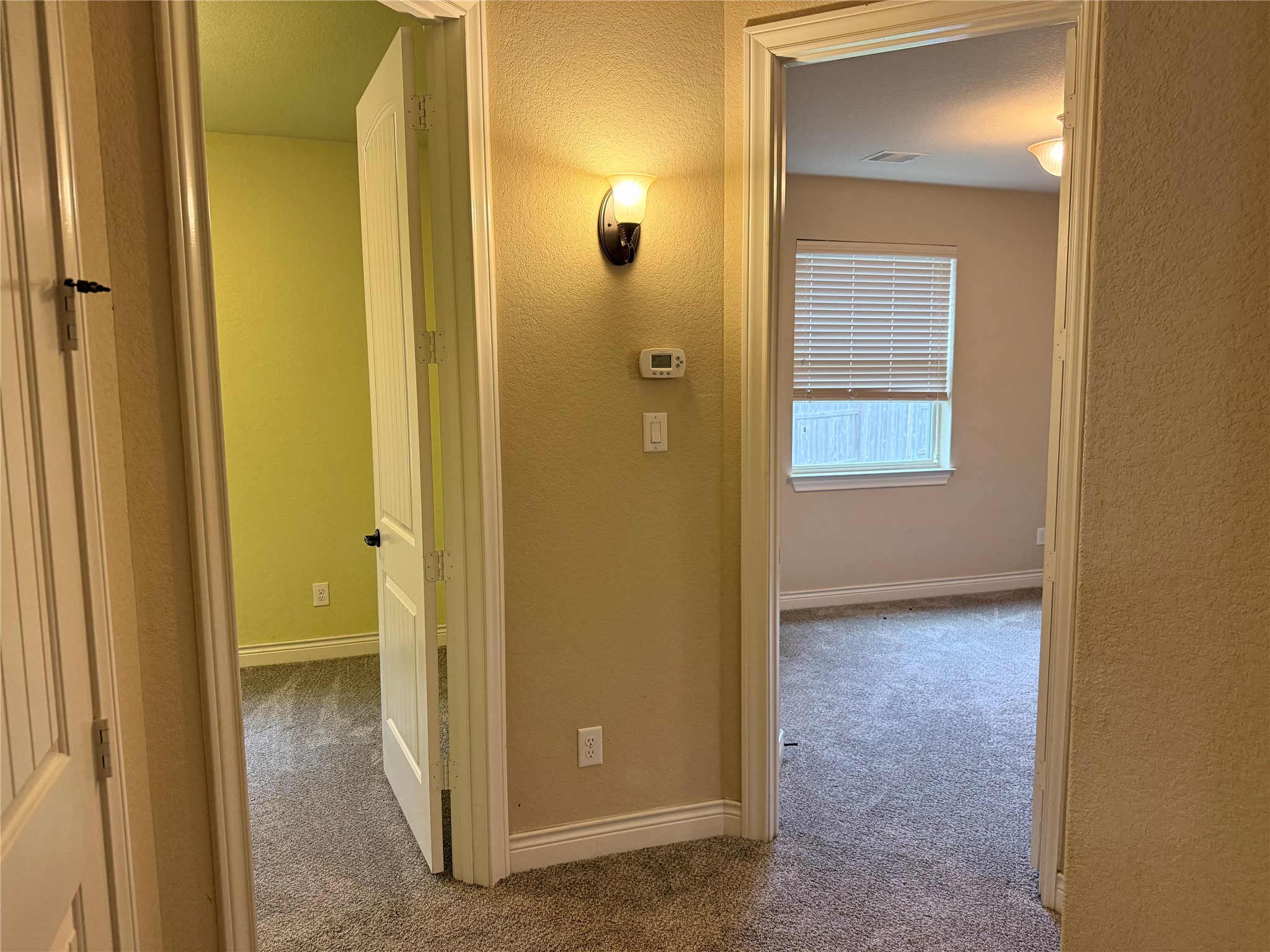 4603 Sanctuary Valley Lane Property Photo 23