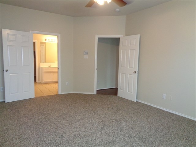 2903 Plum Lake Drive Property Photo 5