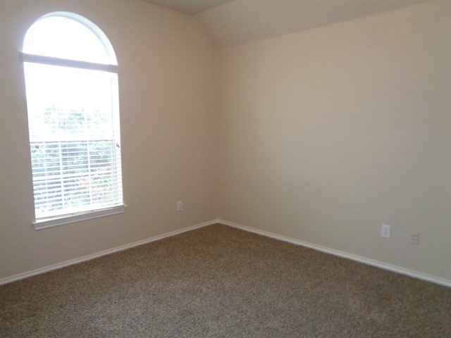 2903 Plum Lake Drive Property Photo 7