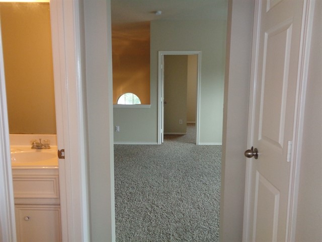 2903 Plum Lake Drive Property Photo 8