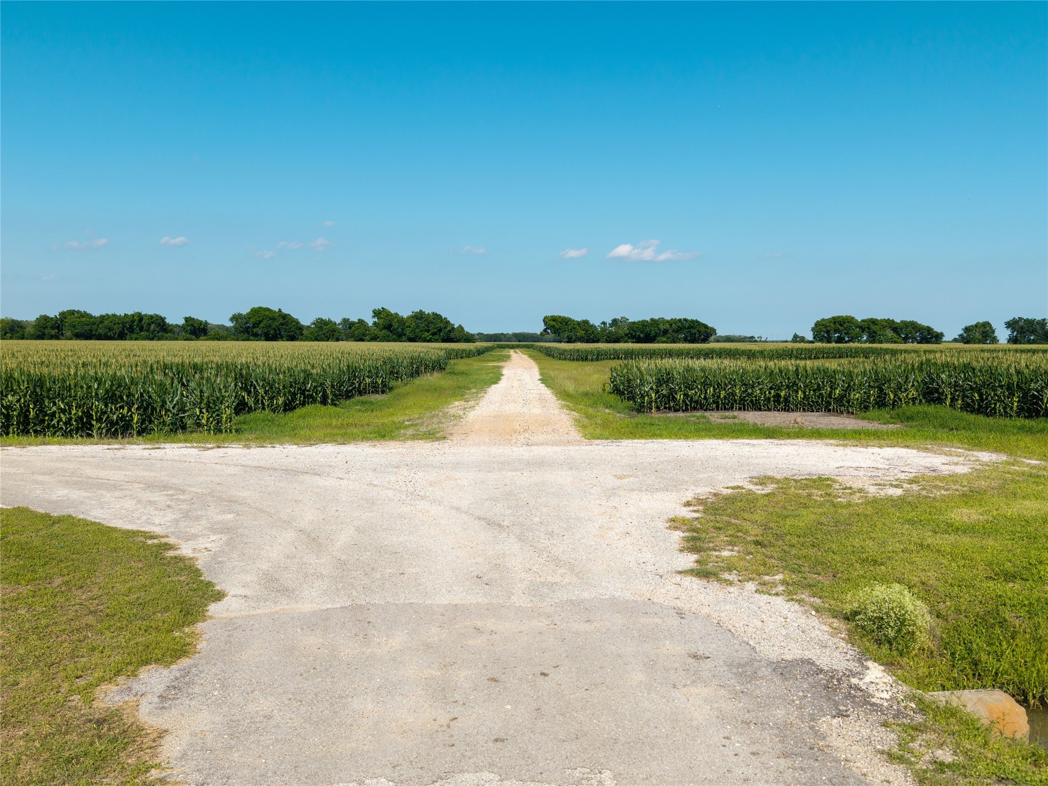 Tbd Vacek Road Property Photo 3