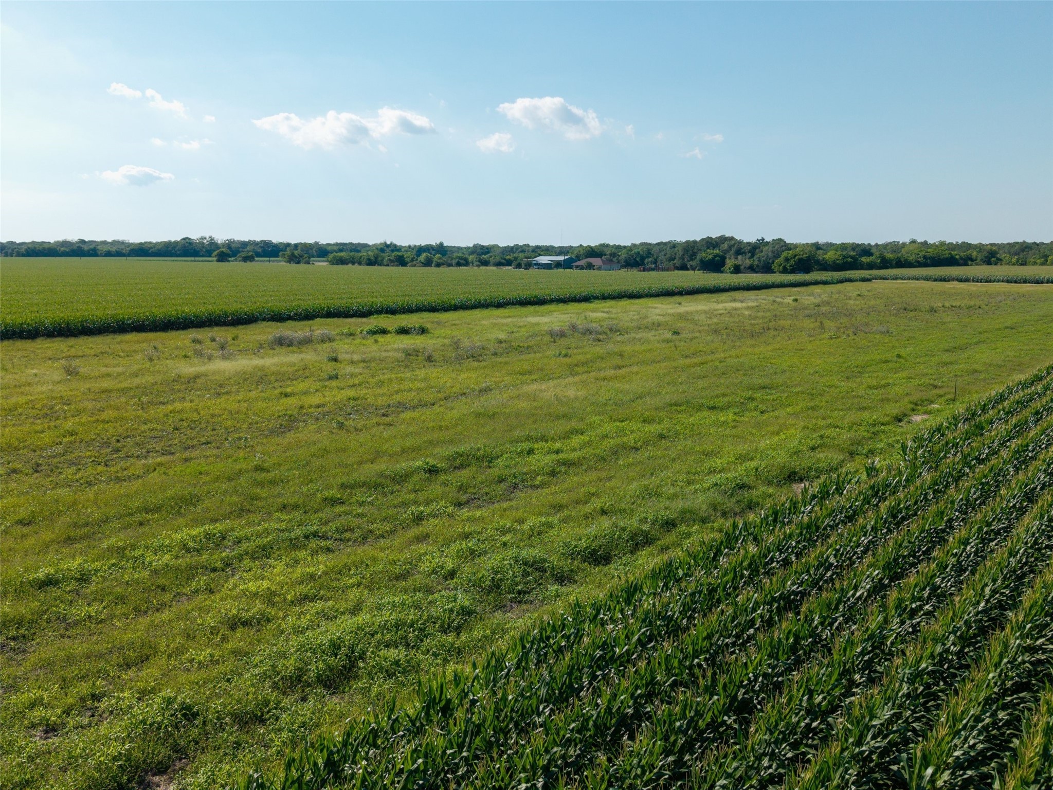 Tbd Vacek Road Property Photo 5