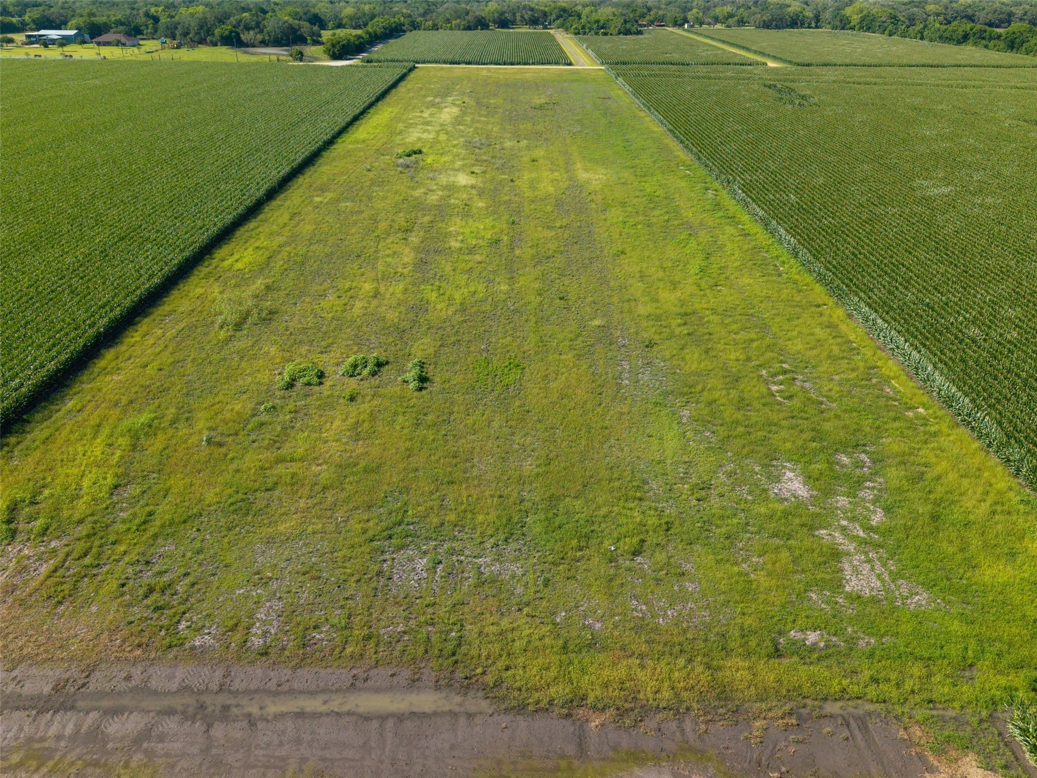 Tbd Vacek Road Property Photo 13