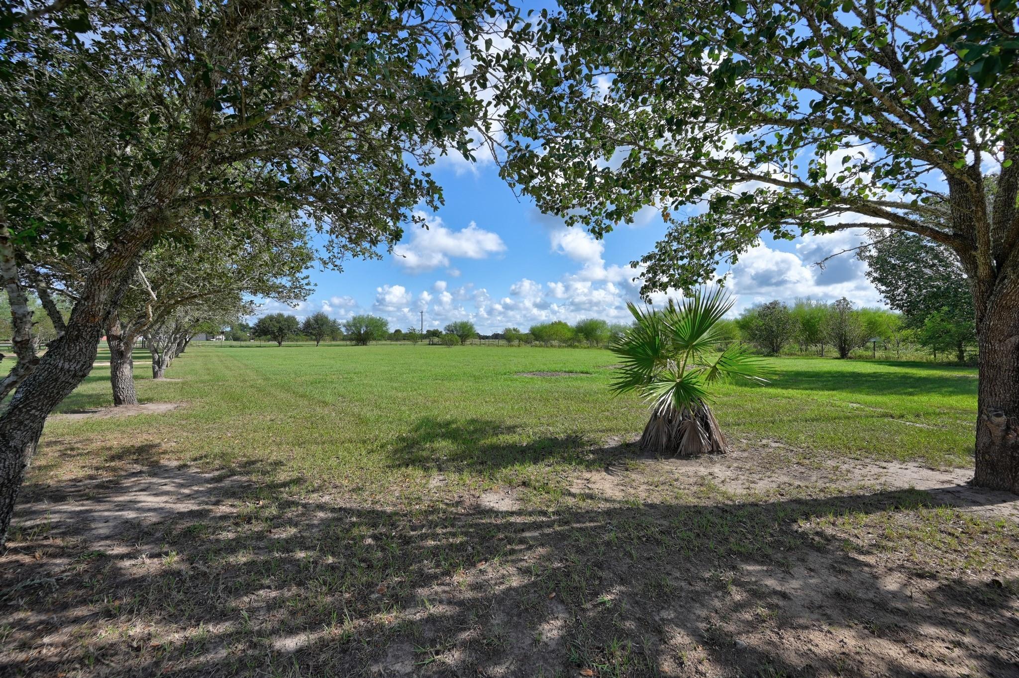 10520 Fm 1456 Property Photo 29