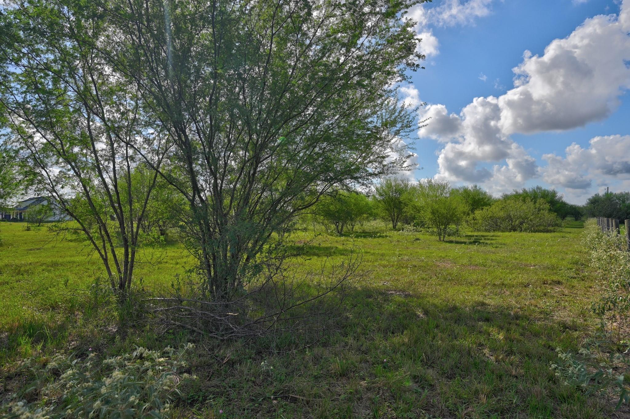 10520 Fm 1456 Property Photo 30