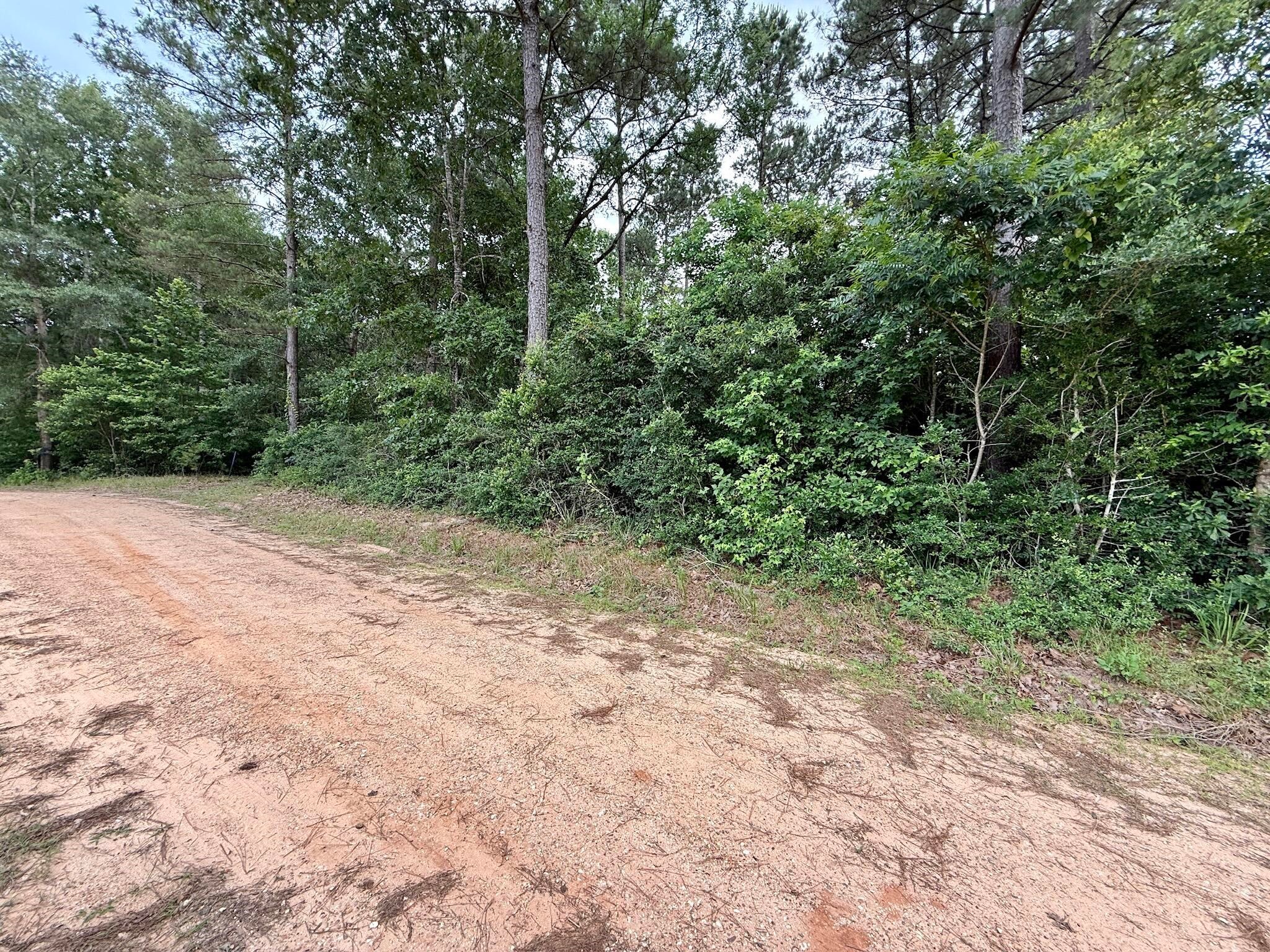 0 Twin Oaks Drive Property Photo 1