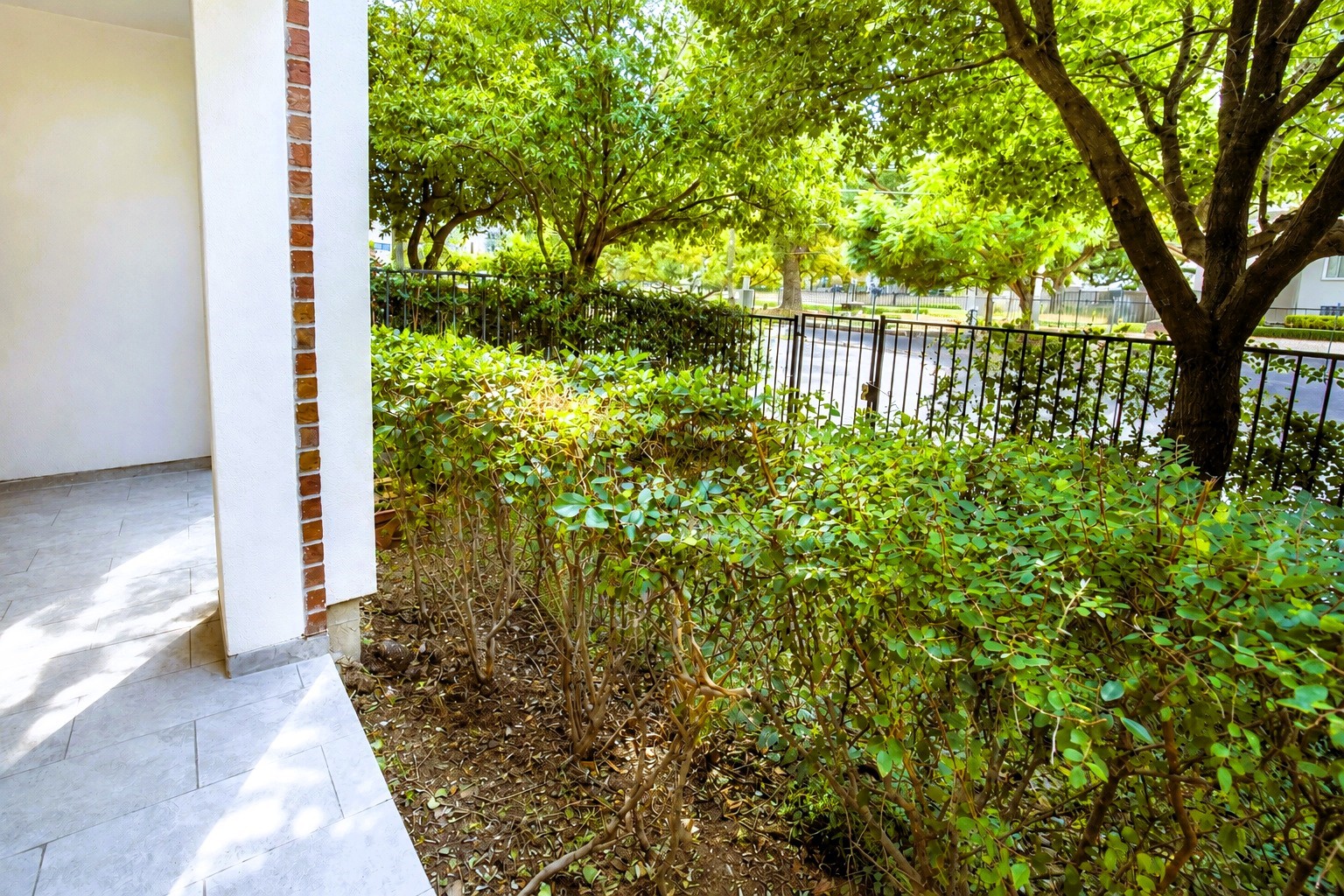 1206 W Dallas Street Property Photo 23