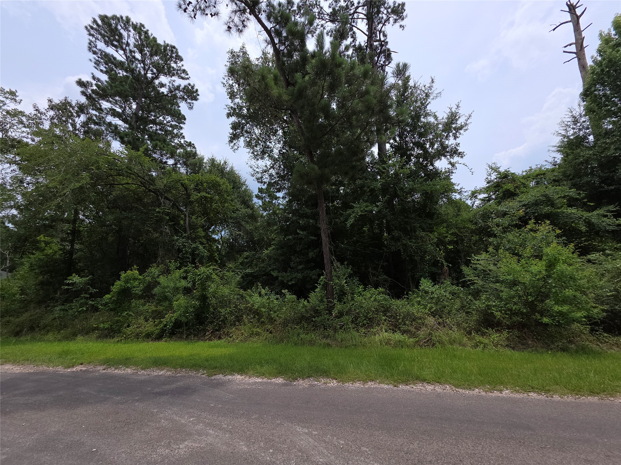 Tbd E Cattle Drive Property Photo 3