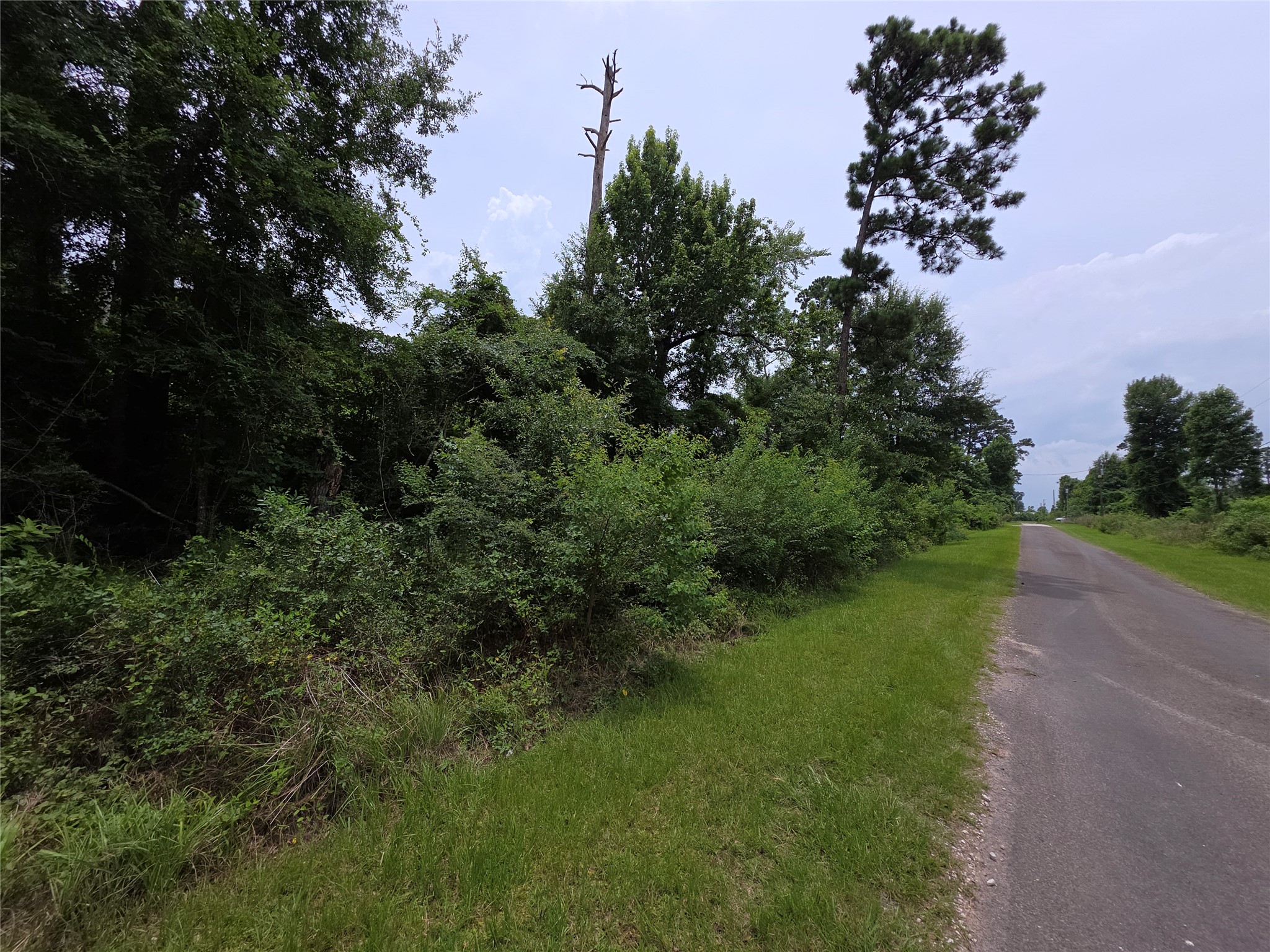 Tbd E Cattle Drive Property Photo 5