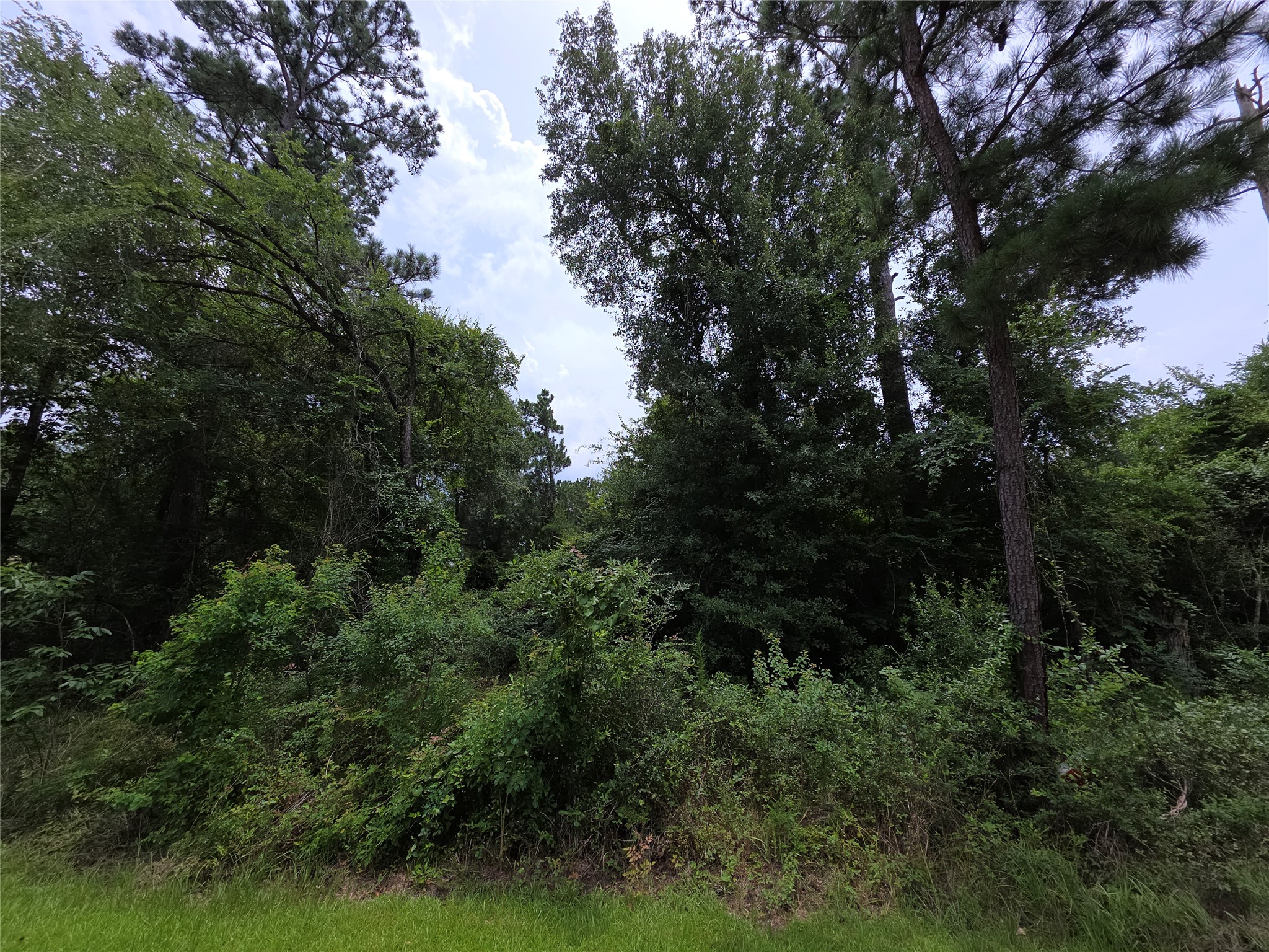 Tbd E Cattle Drive Property Photo 6