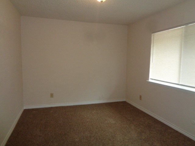 5644 Birchmont Drive C Property Photo 10