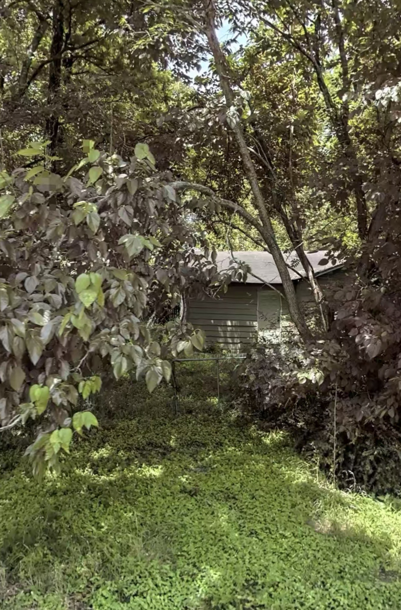 6025 Woodview Drive Property Photo 4