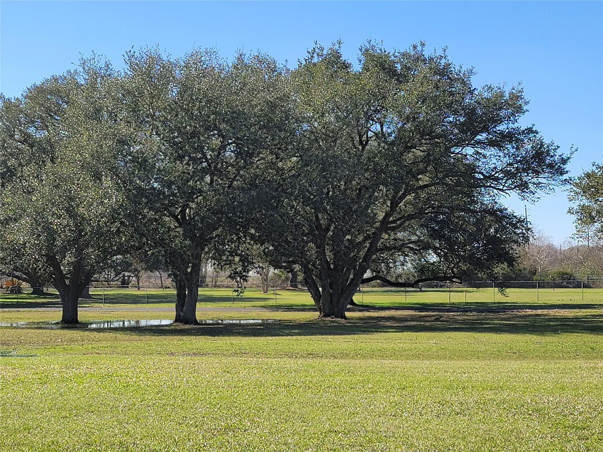 28302 Piney Corners Property Photo 11