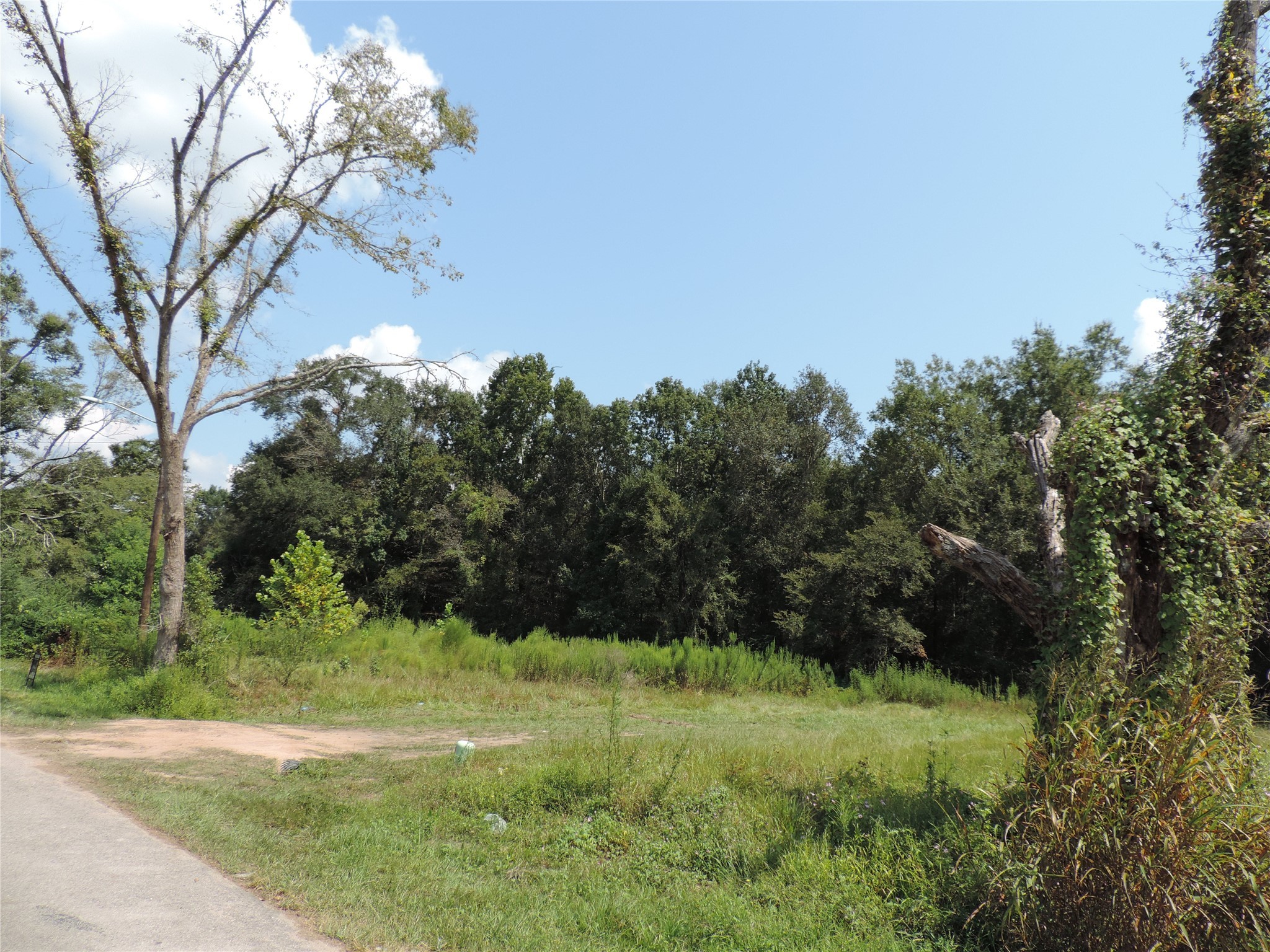 2014 Center Avenue Property Photo 5