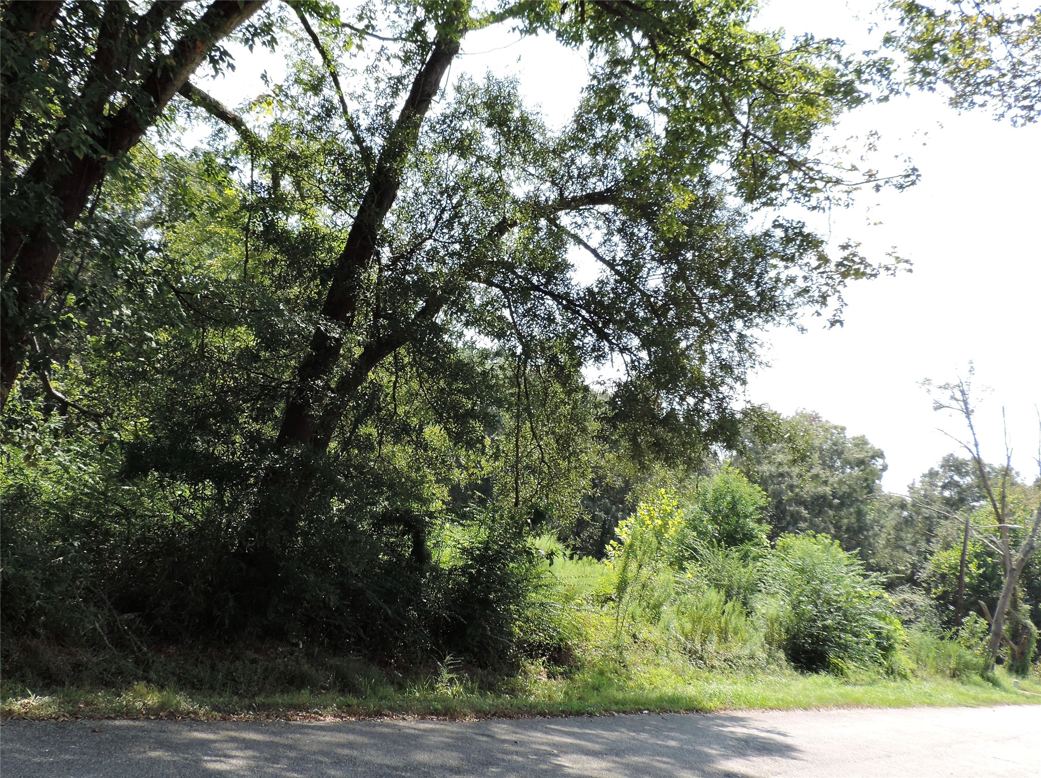 2014 Center Avenue Property Photo 6