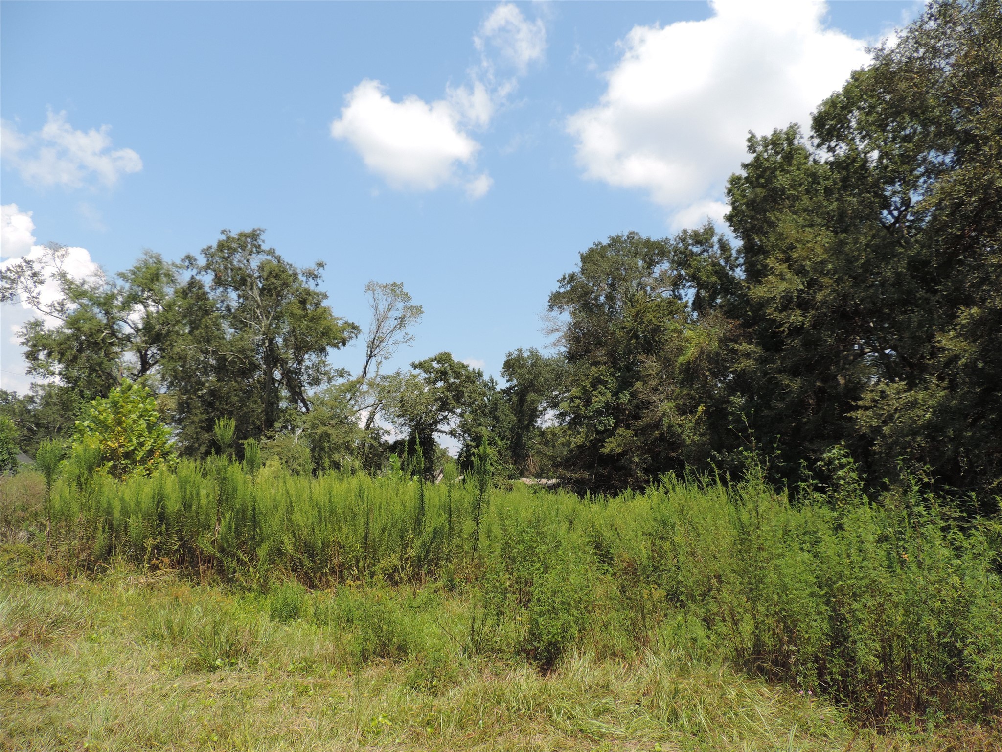 2014 Center Avenue Property Photo 10