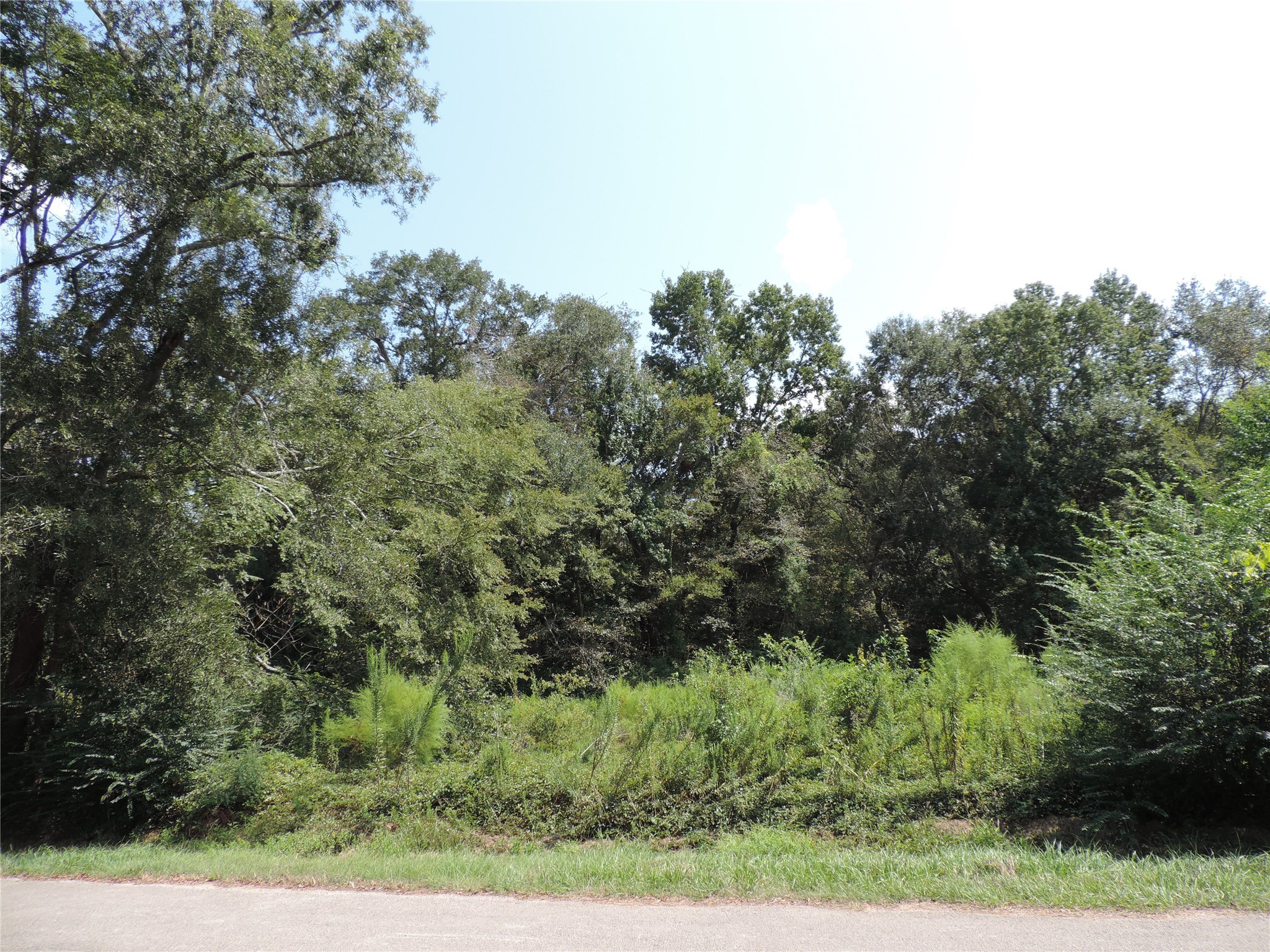 2014 Center Avenue Property Photo 12