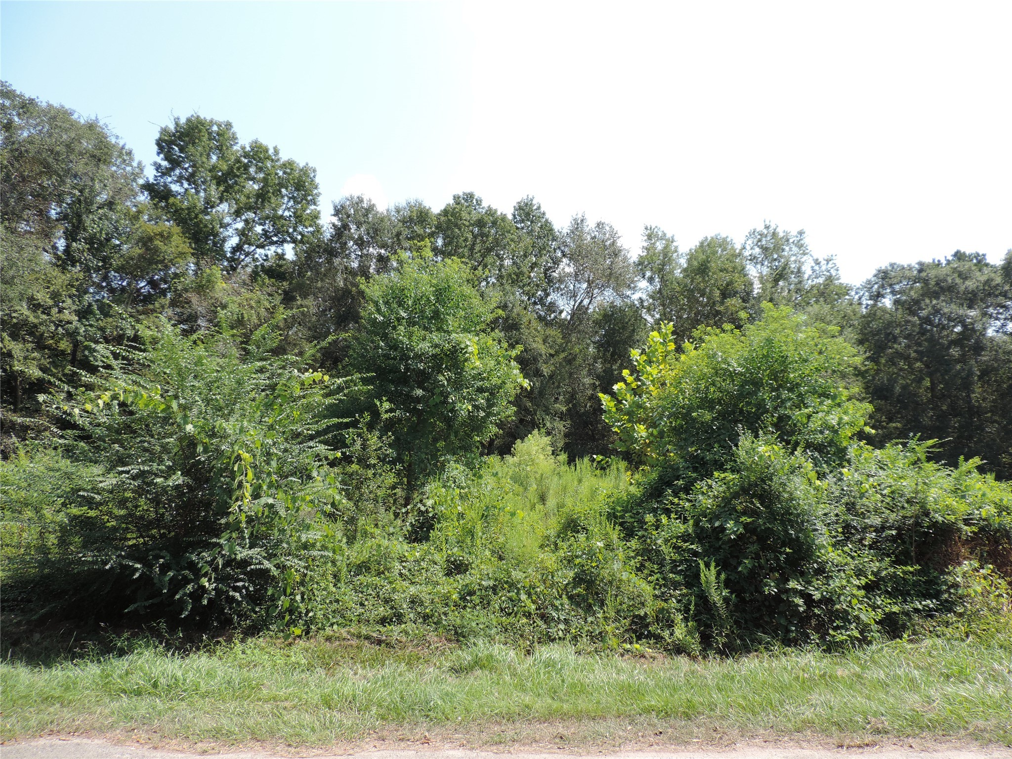 2014 Center Avenue Property Photo 14