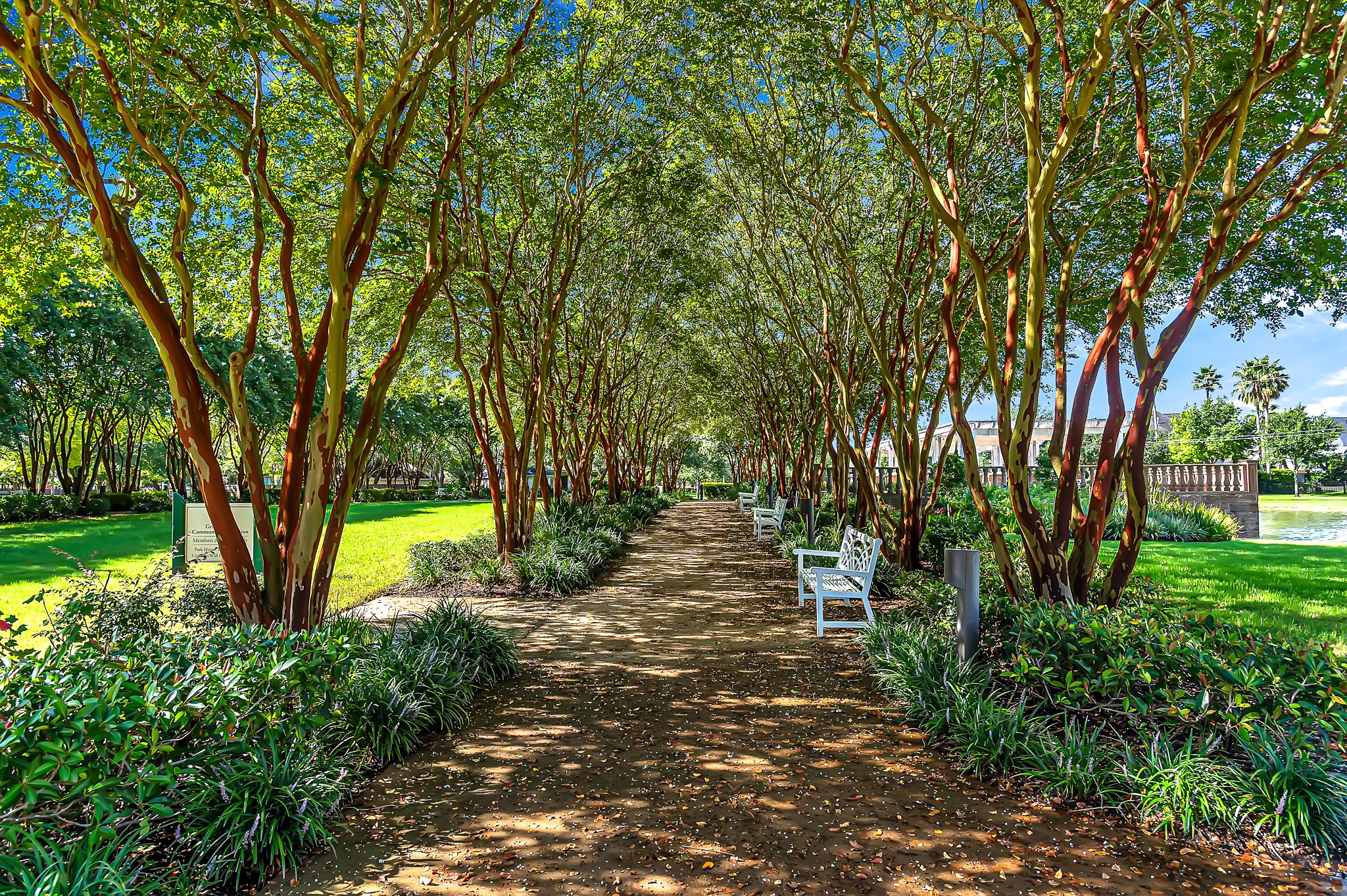 22510 Country Cove Lane Property Photo 46