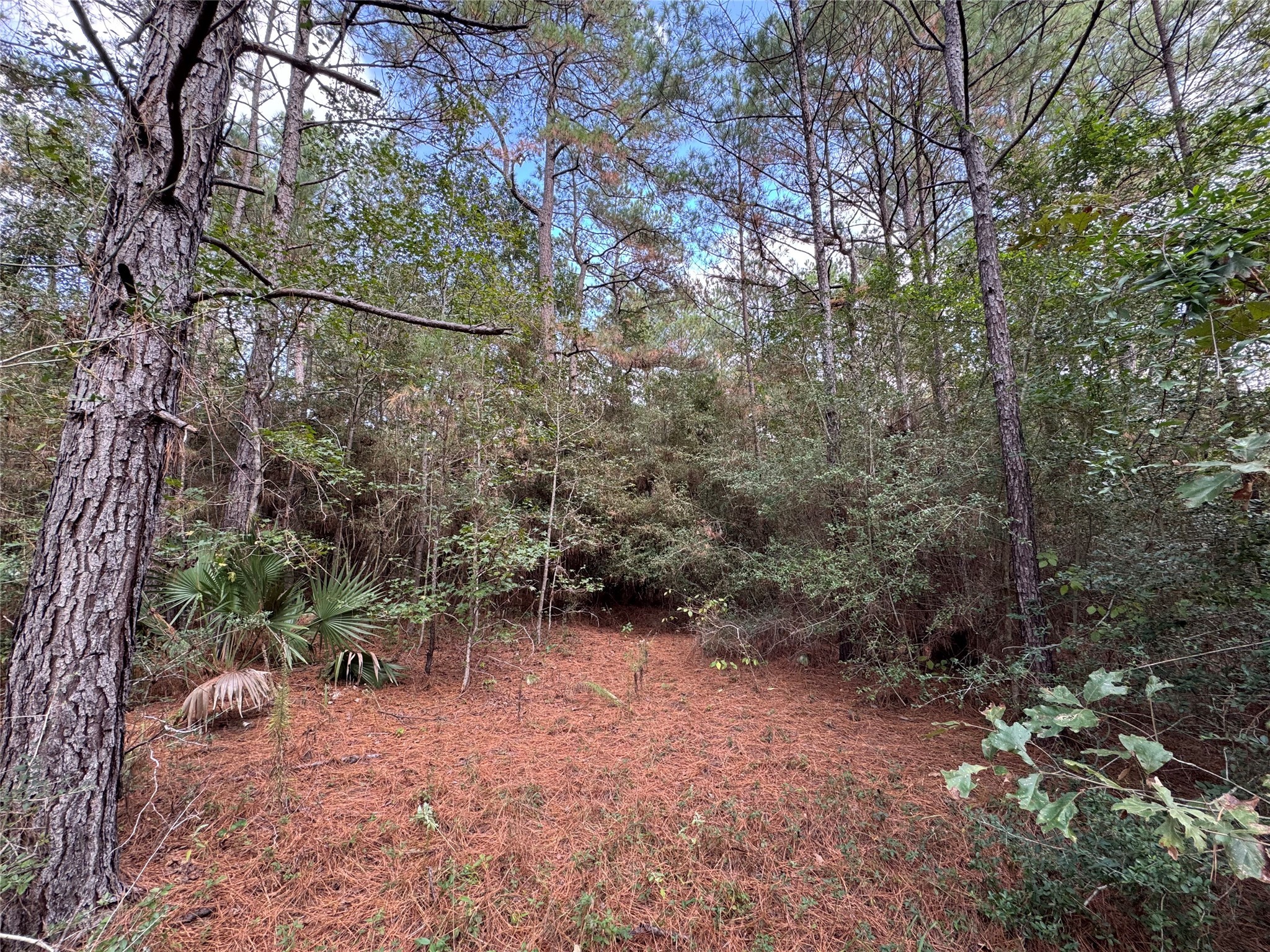 16-2-1 Grand View Property Photo 3