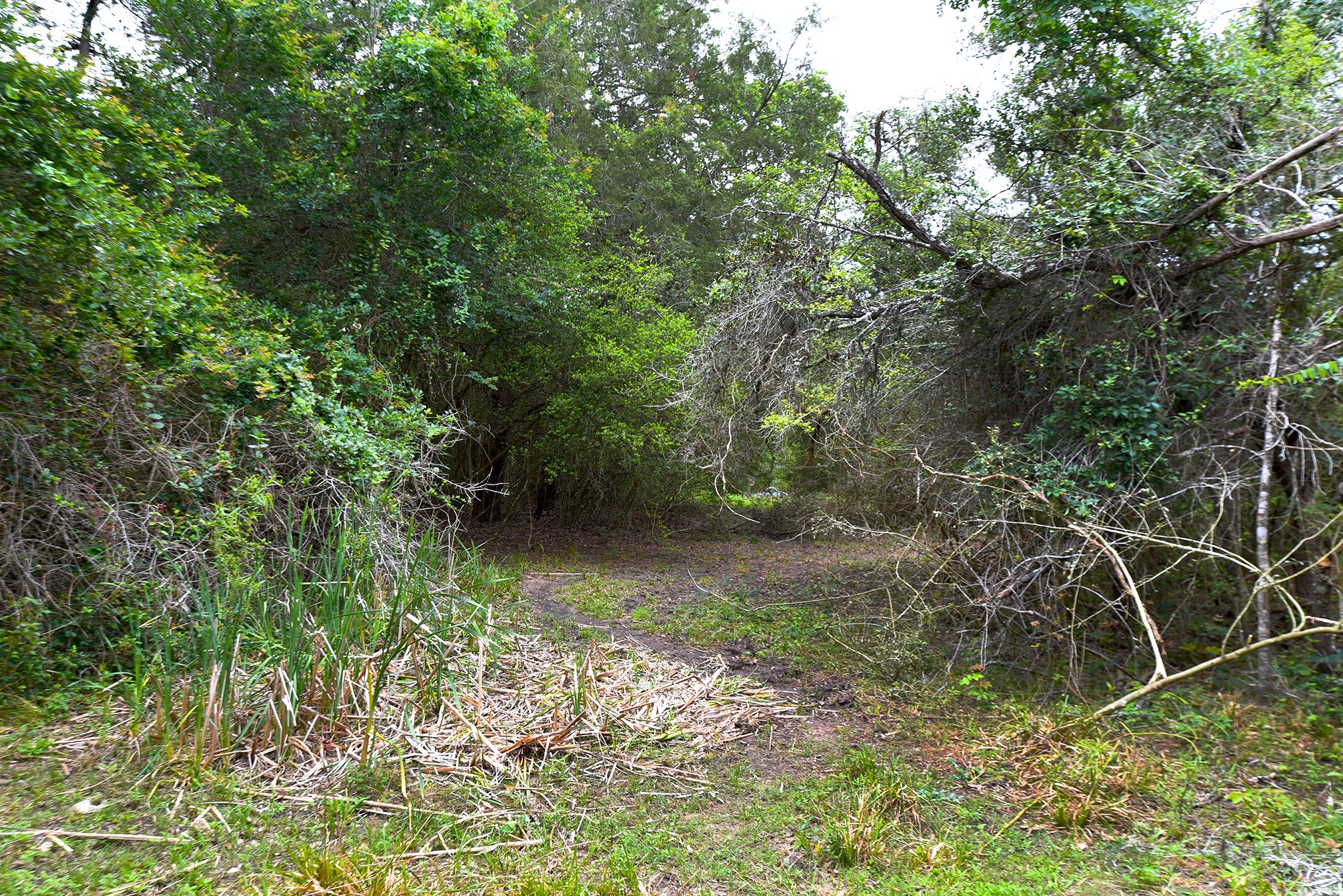 Tbd East Interstate 10 Frontage Road Property Photo 14