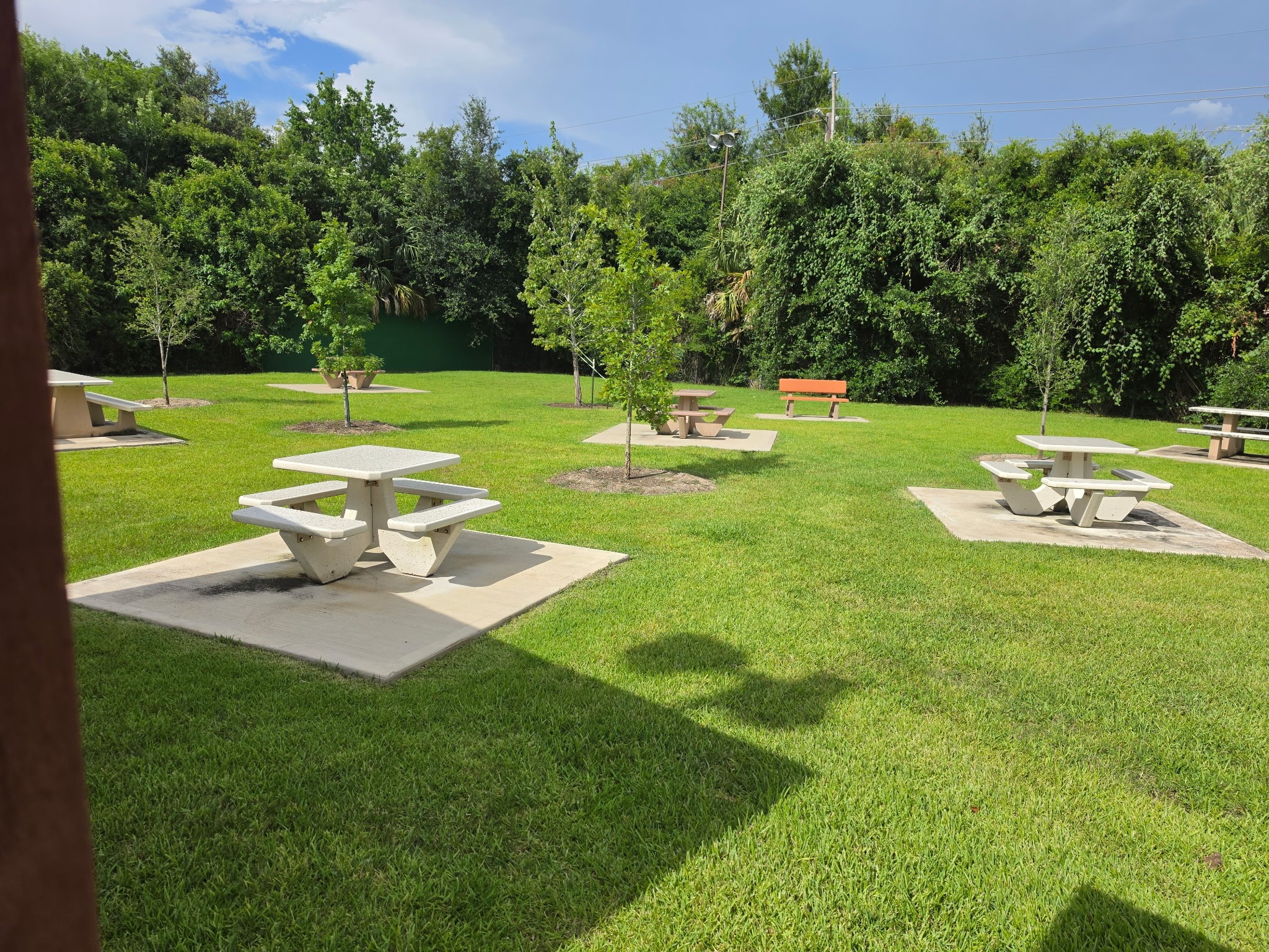 13835 Walnut Hollow Lane Property Photo 25