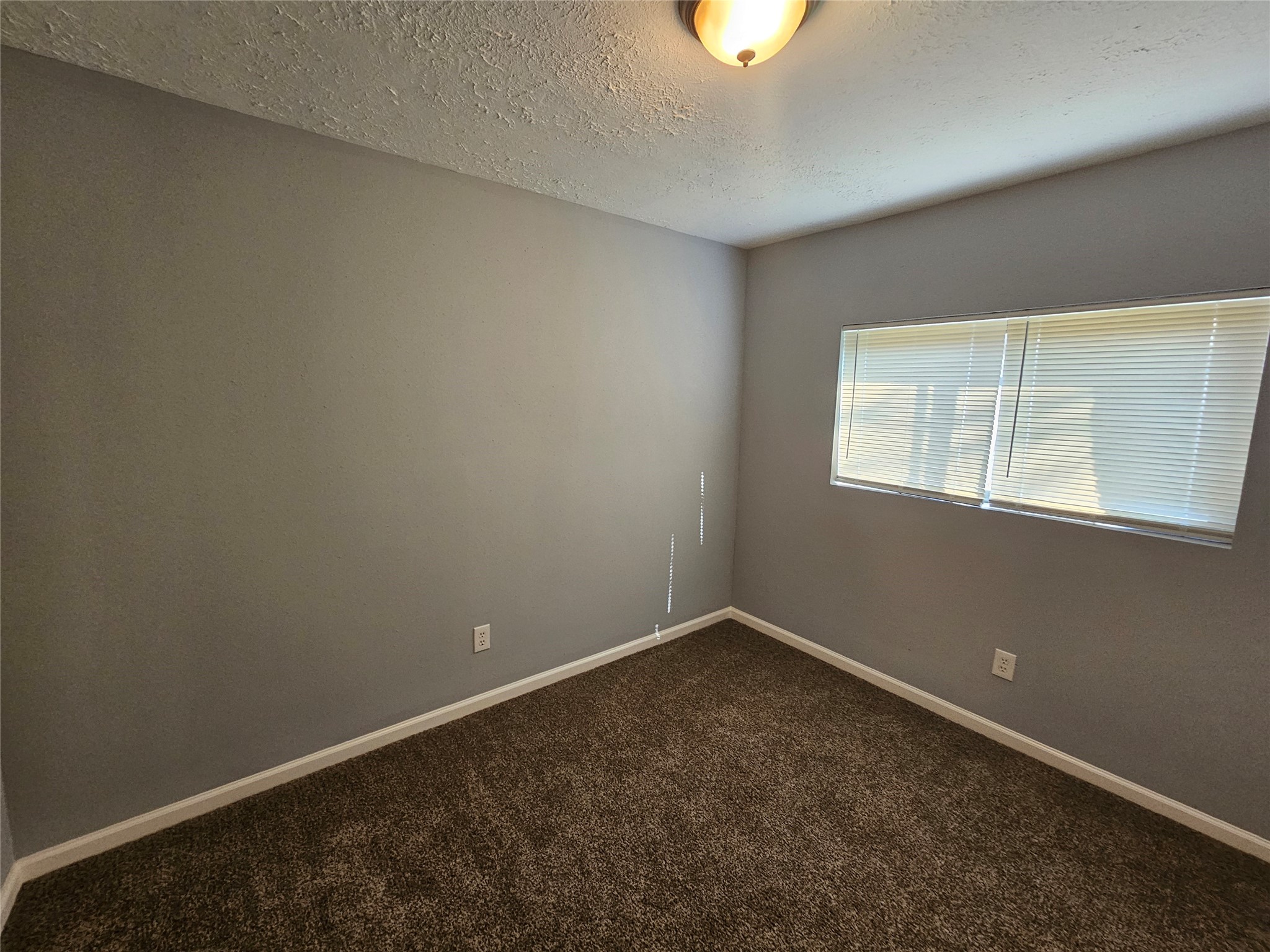 23822 Firegate Drive Property Photo 12