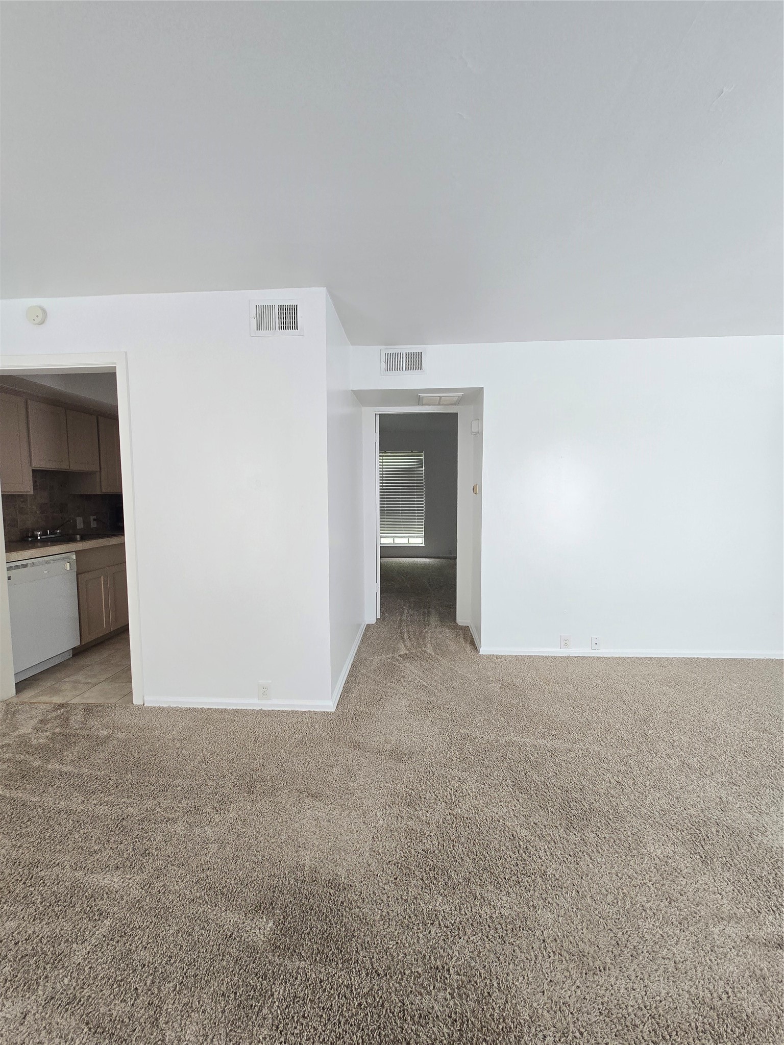 5353 Dora Street 14 Property Photo 6