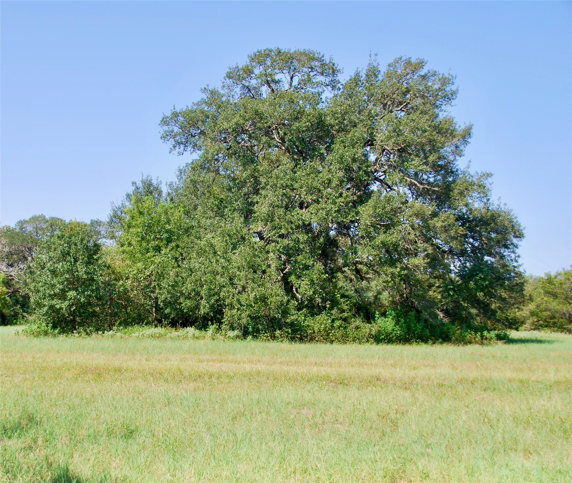 Lot 2 Harvell Lane Property Photo 7