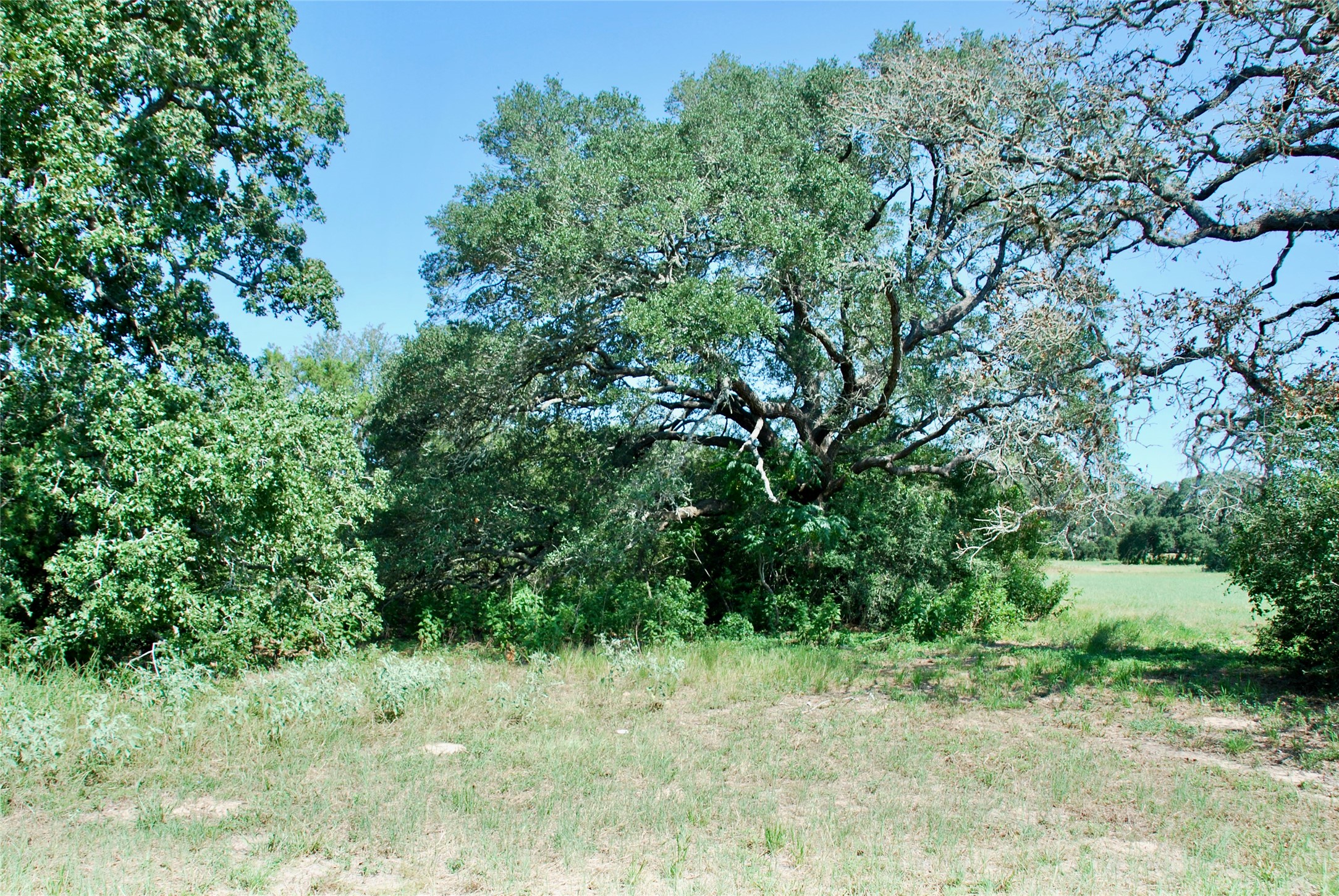Lot 2 Harvell Lane Property Photo 8