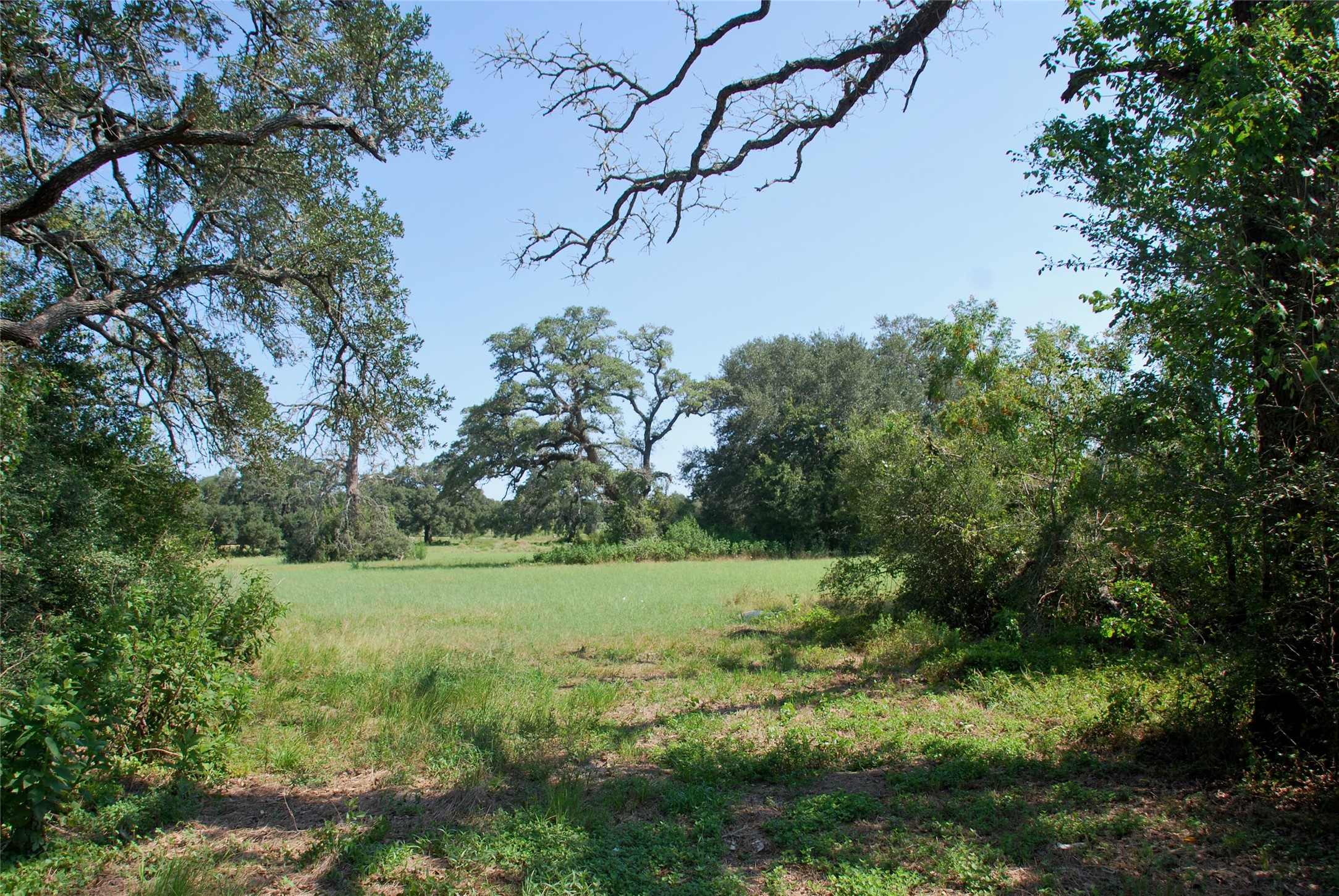 Lot 2 Harvell Lane Property Photo 9