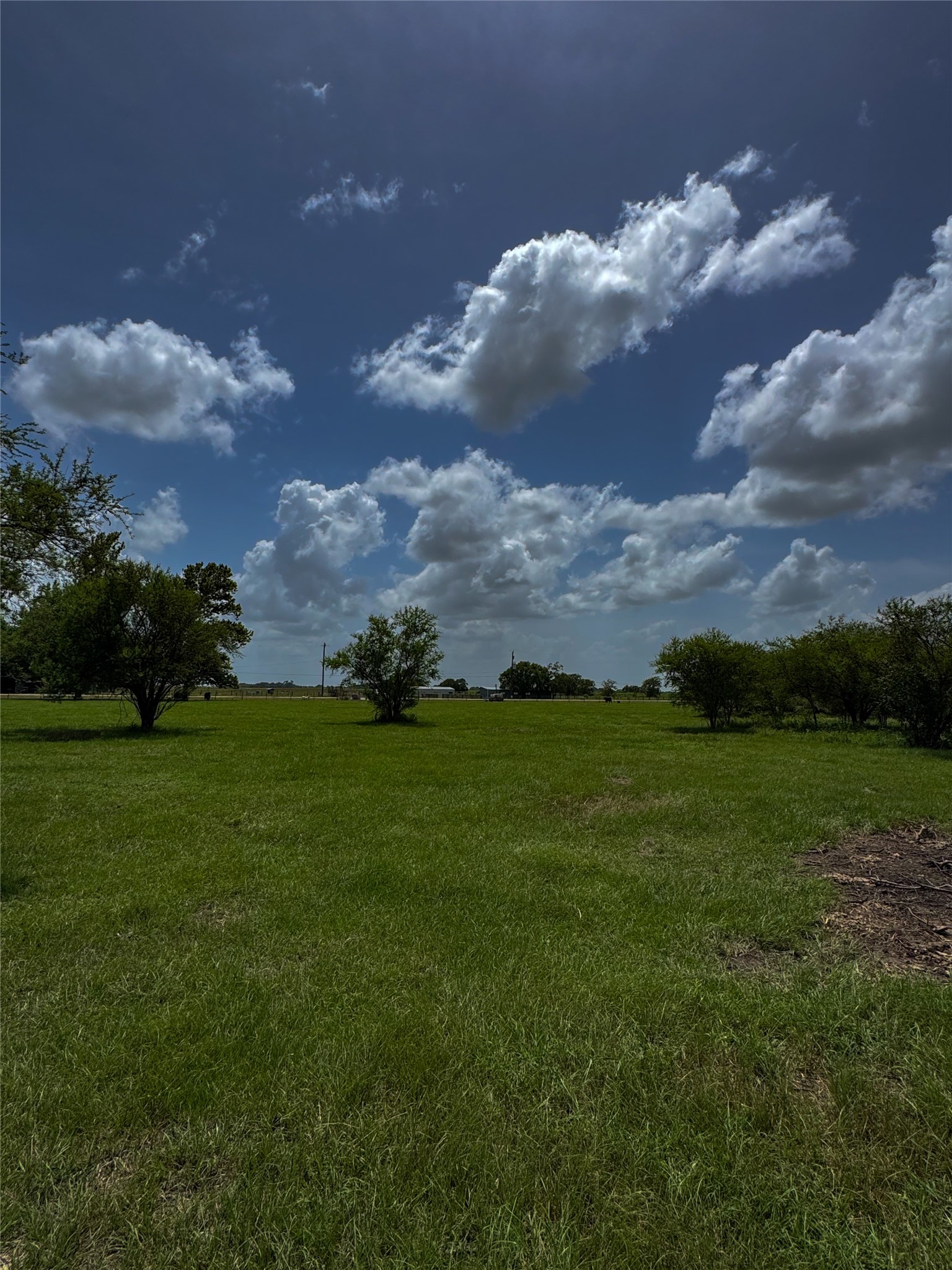 Tract 1 Foster School Road Property Photo 23
