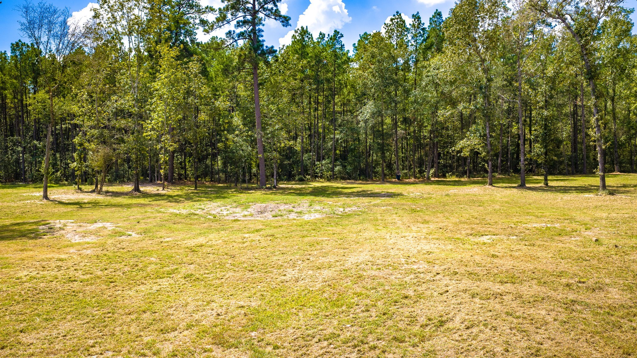 1236 Spencer 1 Road Property Photo 6