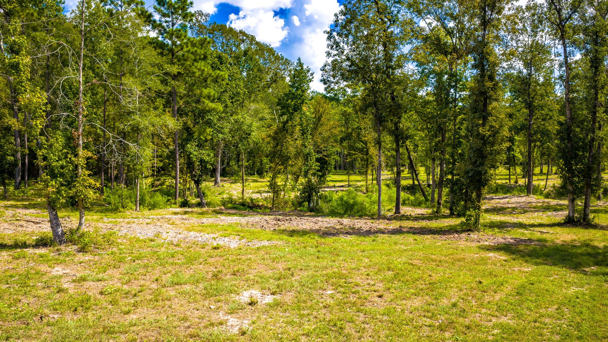 1236 Spencer 1 Road Property Photo 13