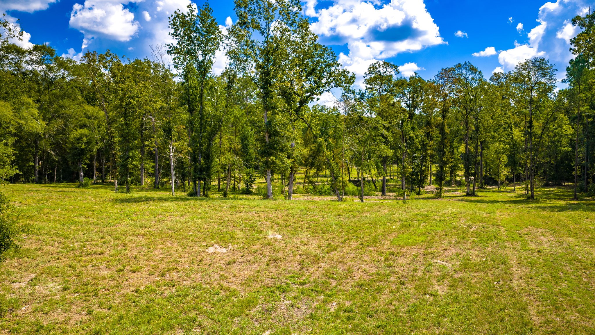 1236 Spencer 1 Road Property Photo 14