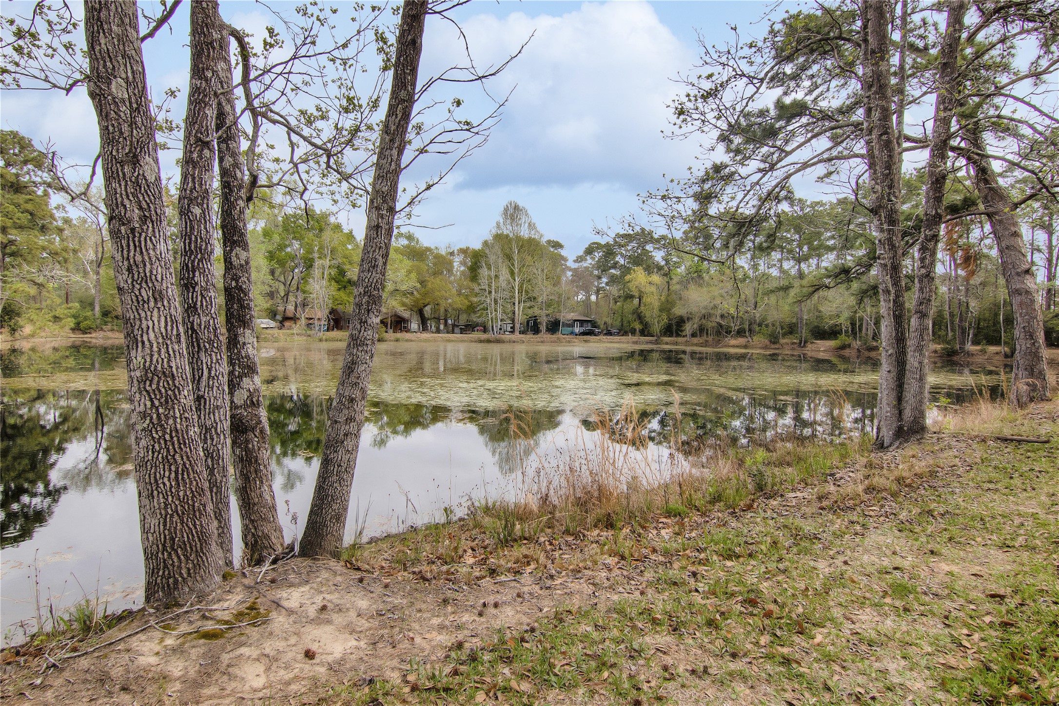 18207 Lark Lane Property Photo 2