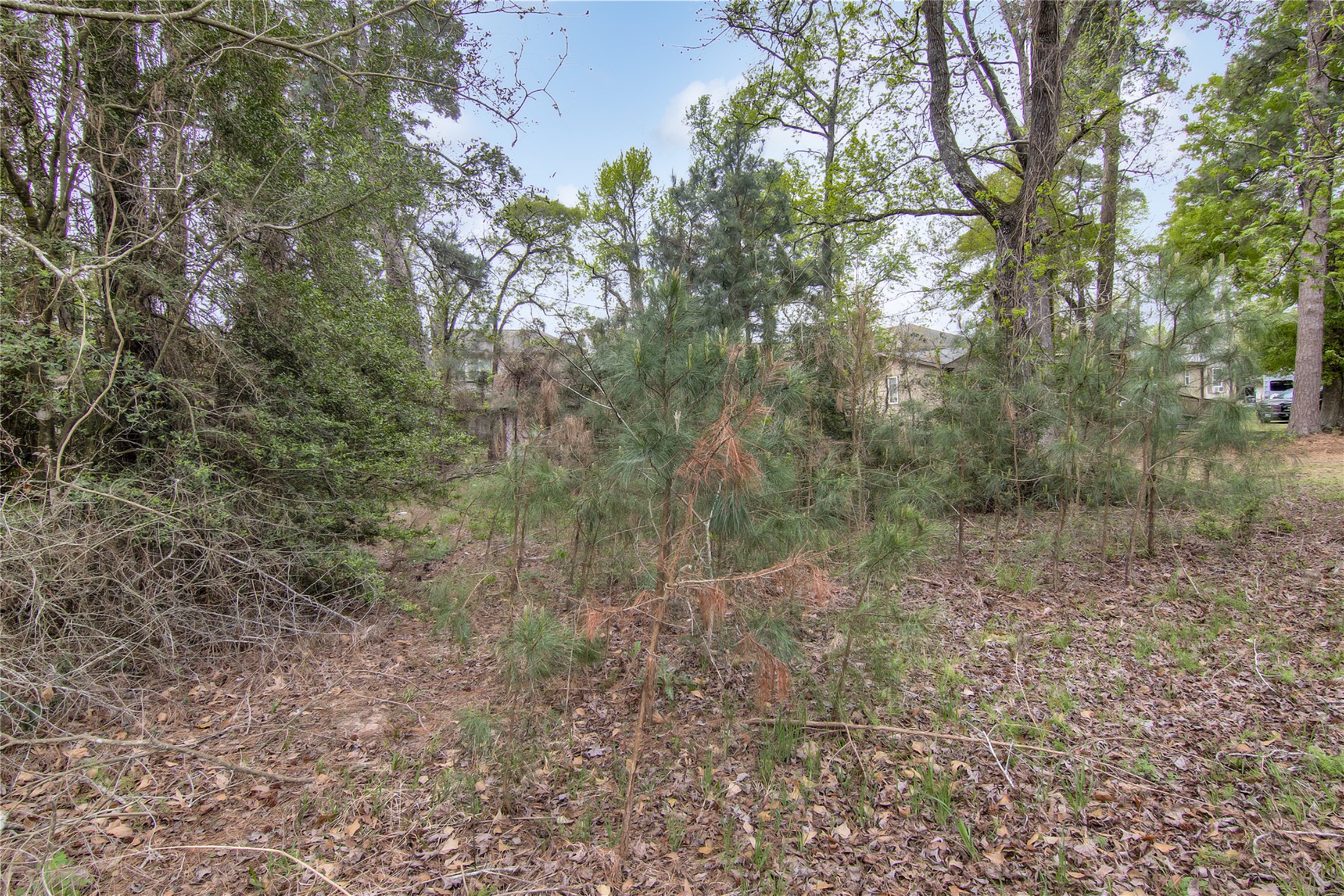 18207 Lark Lane Property Photo 15