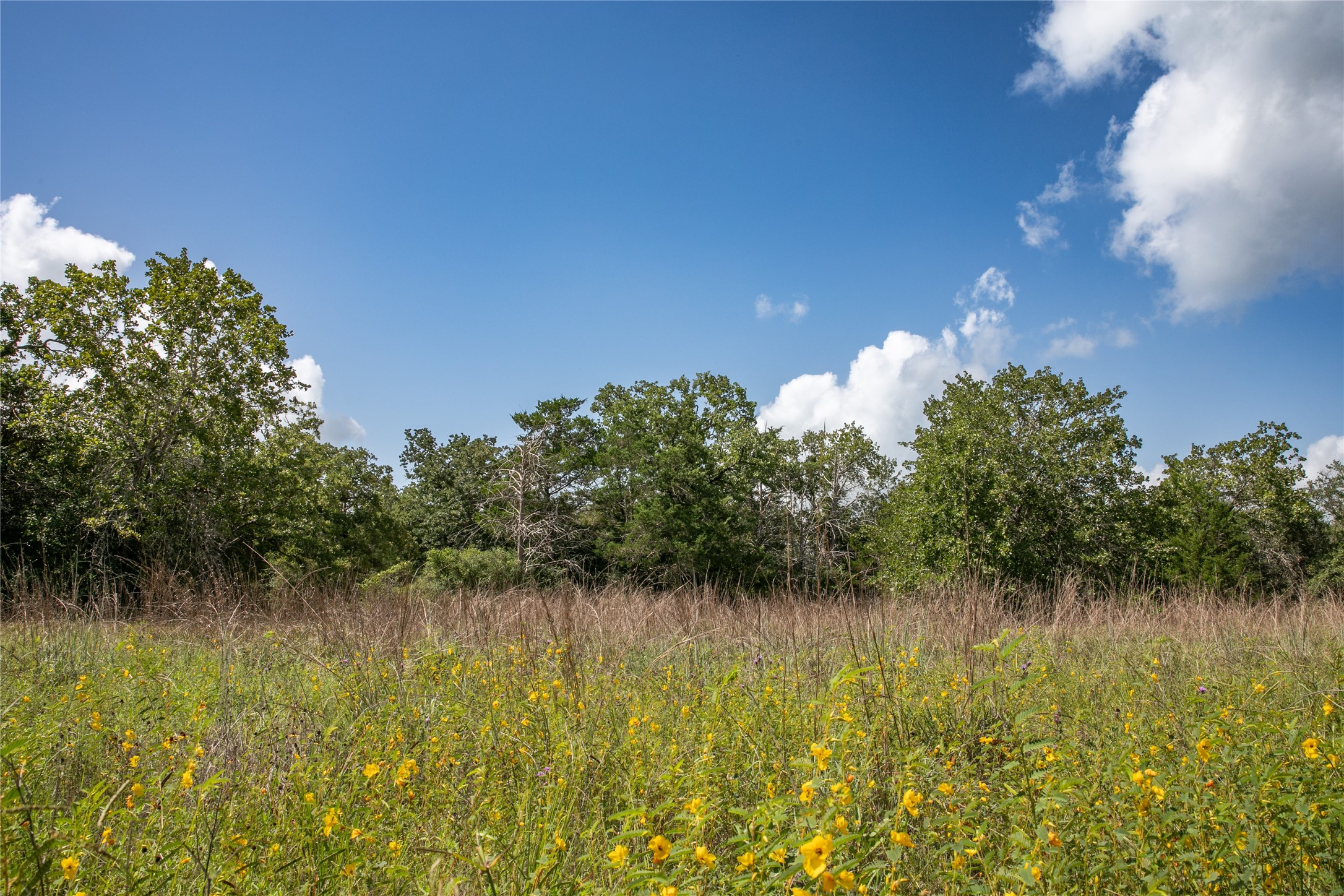 4105 Lomax Harmel Road Property Photo 1