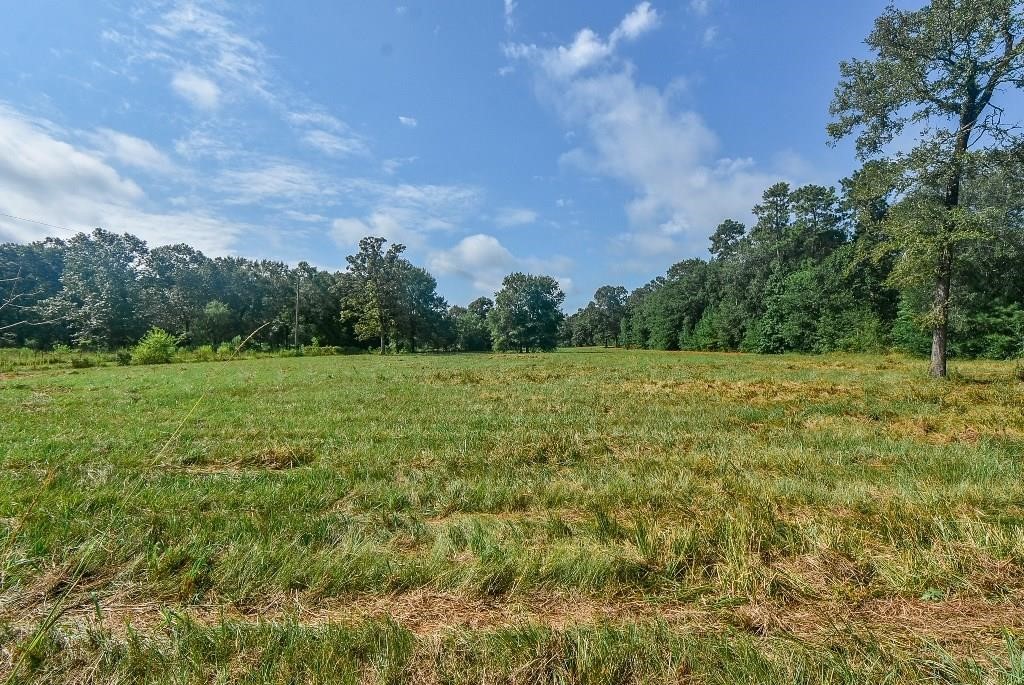 16428 Jireh Road Property Photo 12