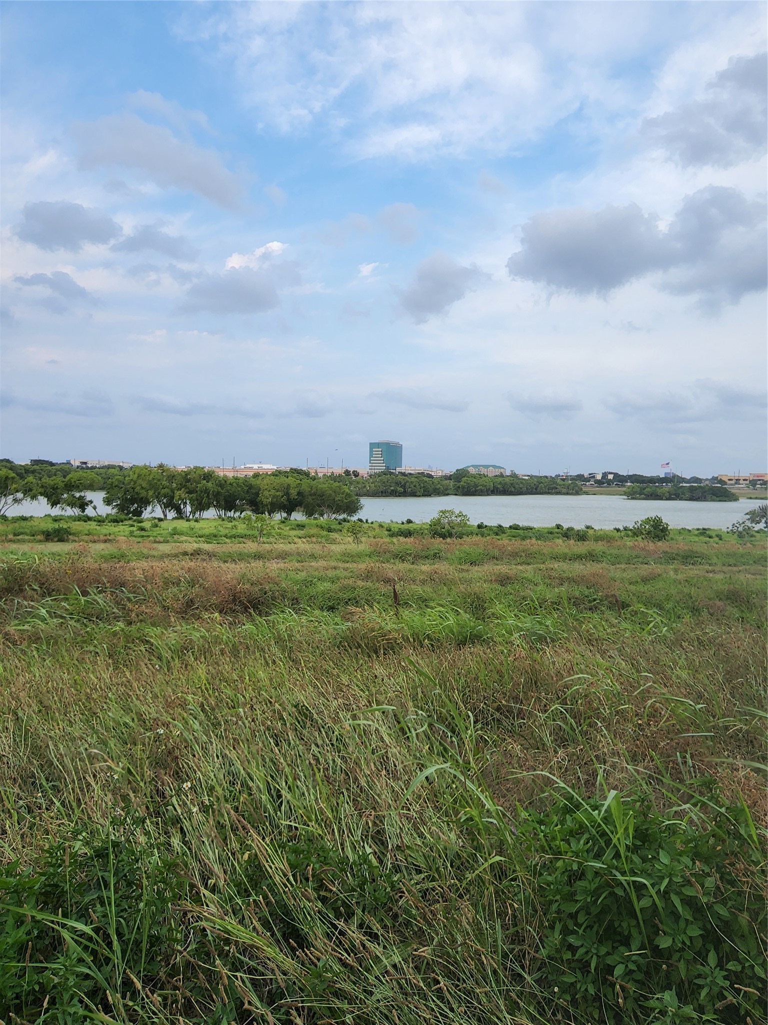 10555 Turtlewood Court 1005 Property Photo 16
