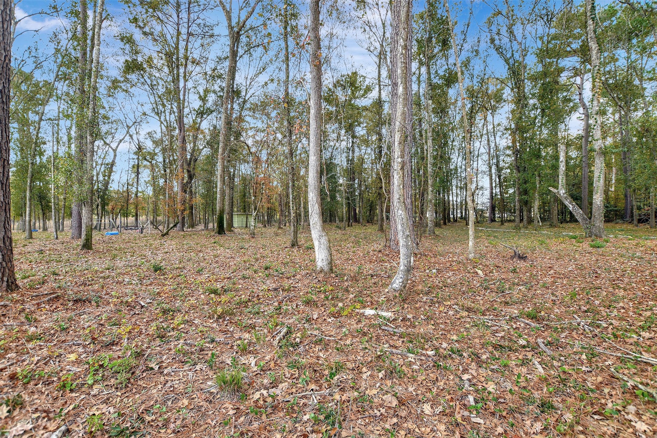 15738 W Relza Drive Property Photo 28