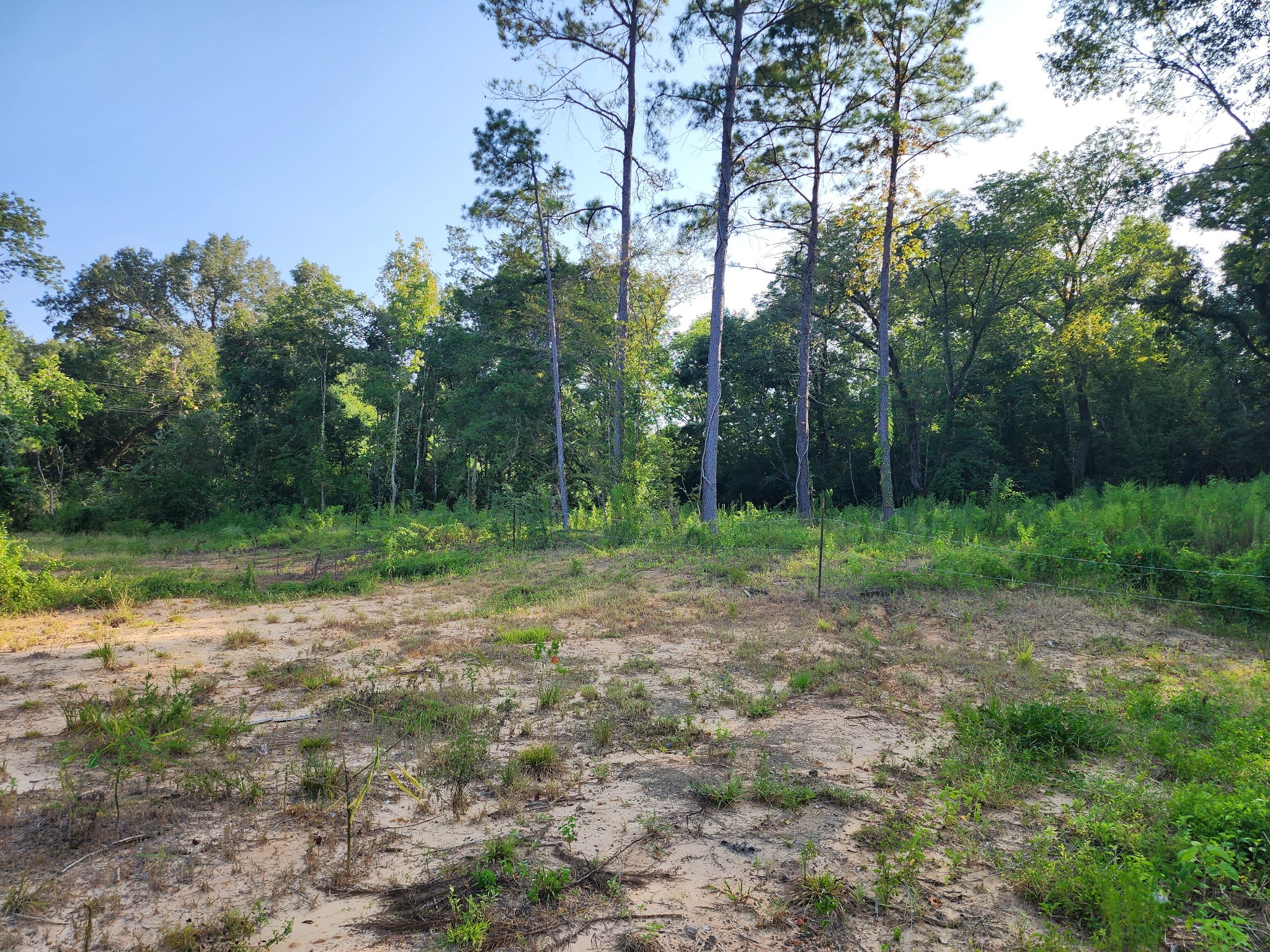 Fm787 Fm 787 Property Photo 10