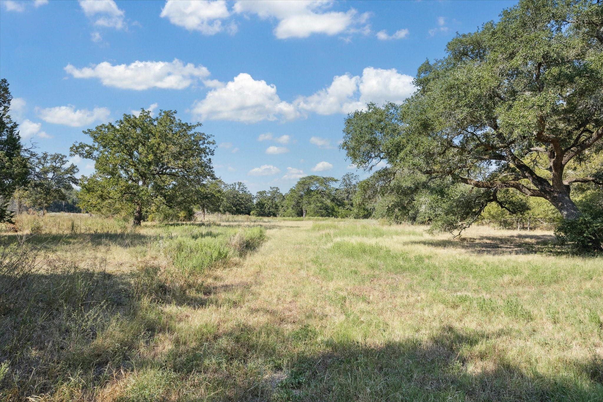 3455 Fm 1948 Road N Property Photo 27