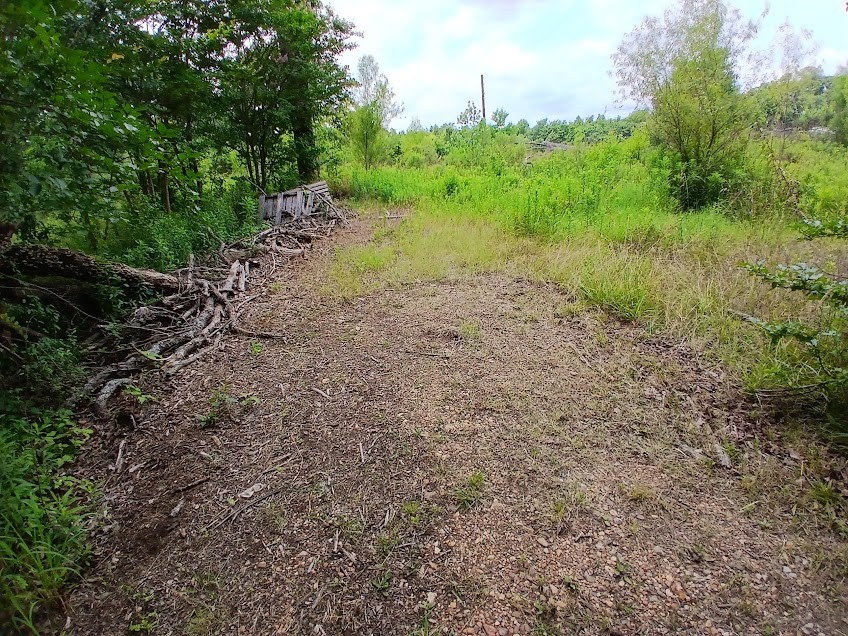 2018 County Road 4009 Property Photo 3